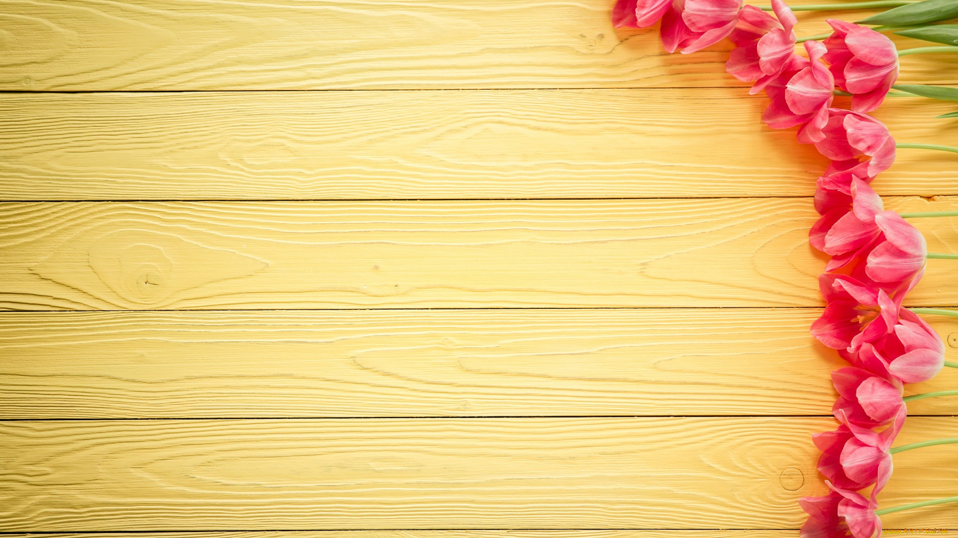 праздничные, международный, женский, день, -, 8, марта, wood, love, heart, тюльпаны, pink, romantic, розовые, цветы, tulips, 8, марта