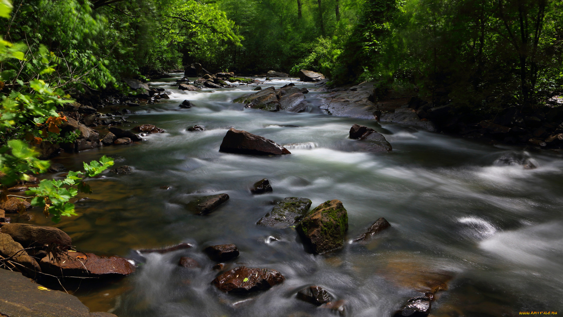 природа, реки, озера, лес, деревья, вода, река, поток