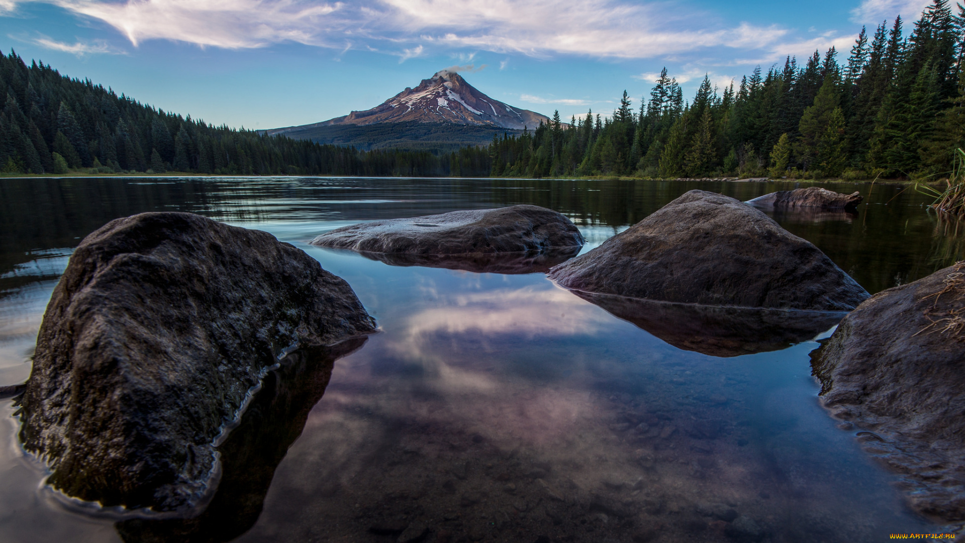 природа, реки, озера, озеро, зимний, пейзаж, снег, дерево, winter, landscape, snow, tree, lake
