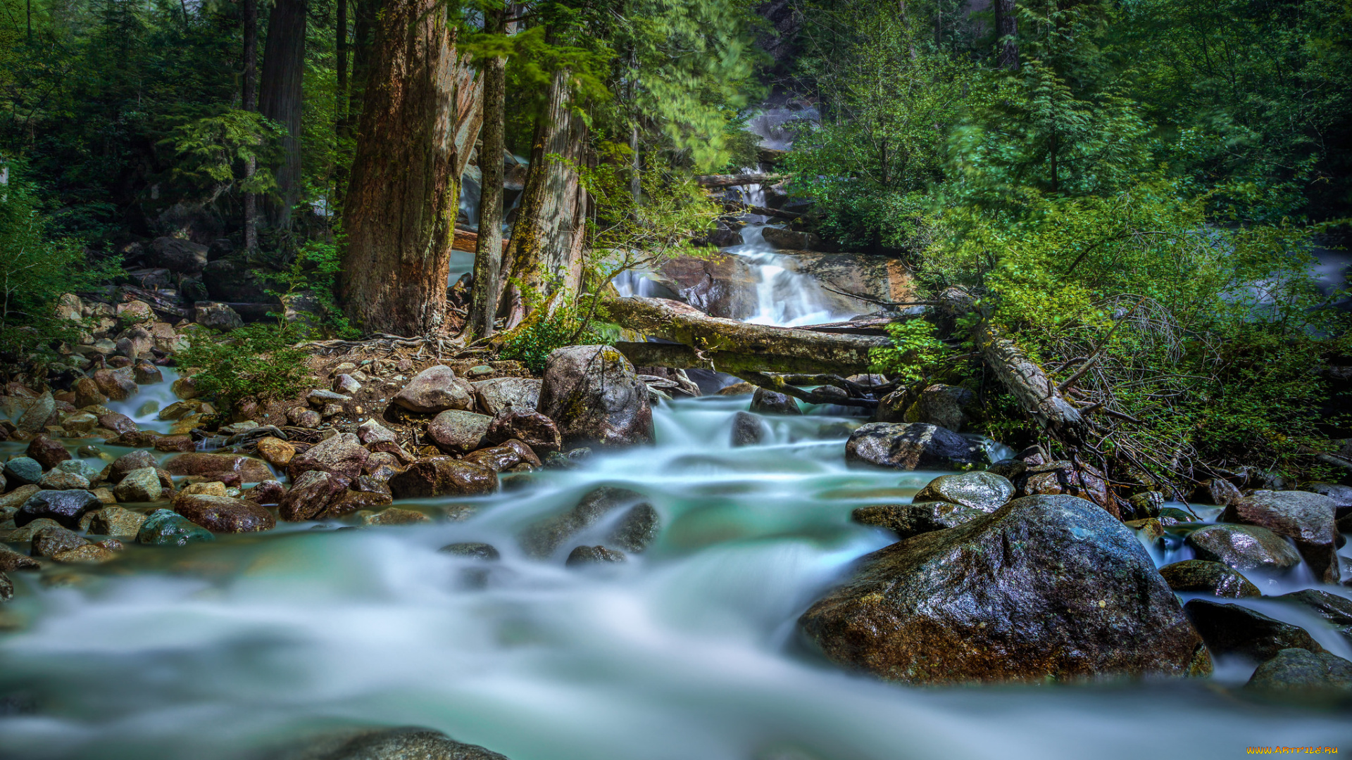 природа, водопады, autumn, leaves, water, stream, waterfall, водопад, осень, листья, вода, поток