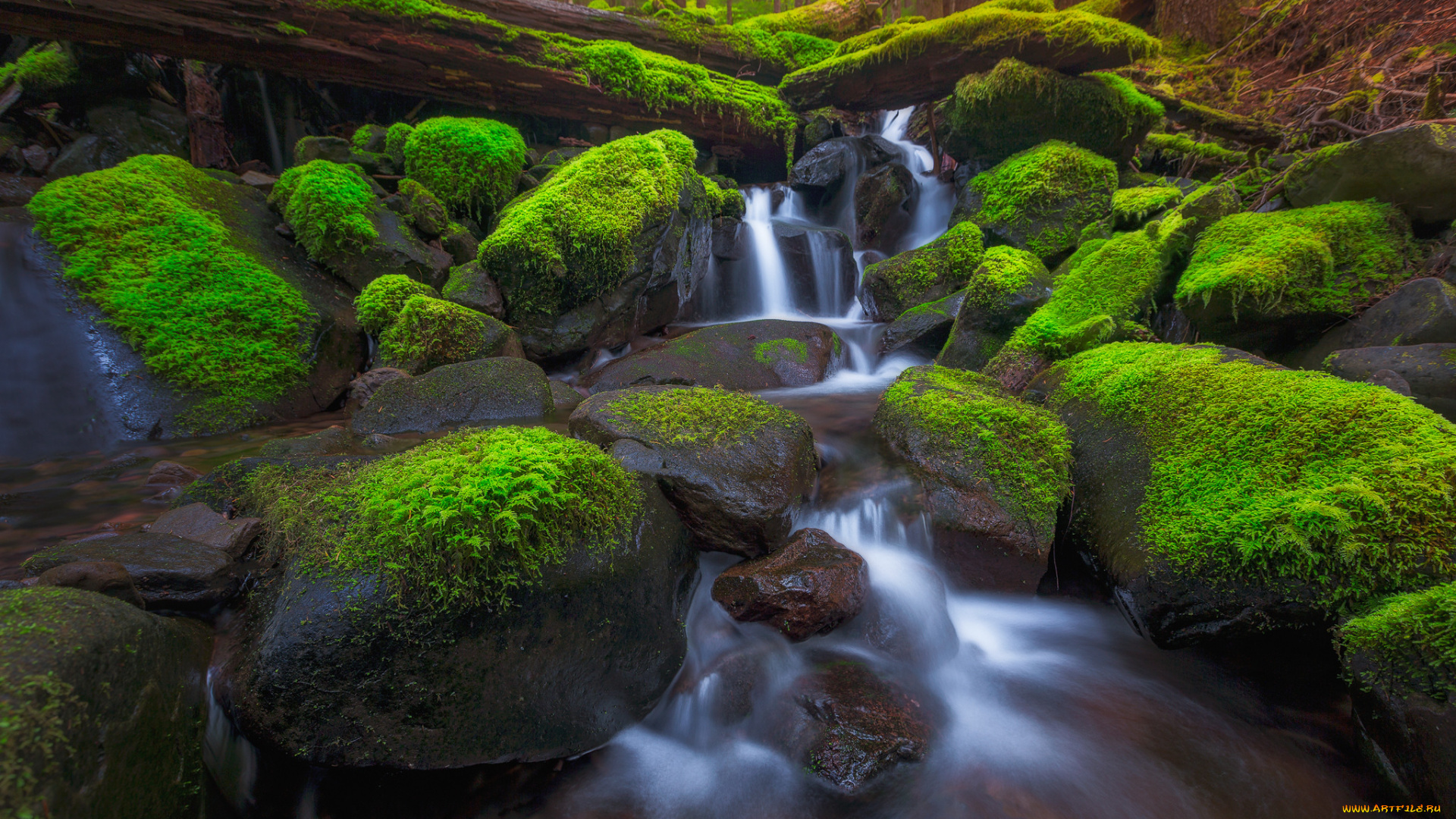 природа, водопады, leaves, waterfall, осень, листья, вода, поток, водопад, autumn, water, stream
