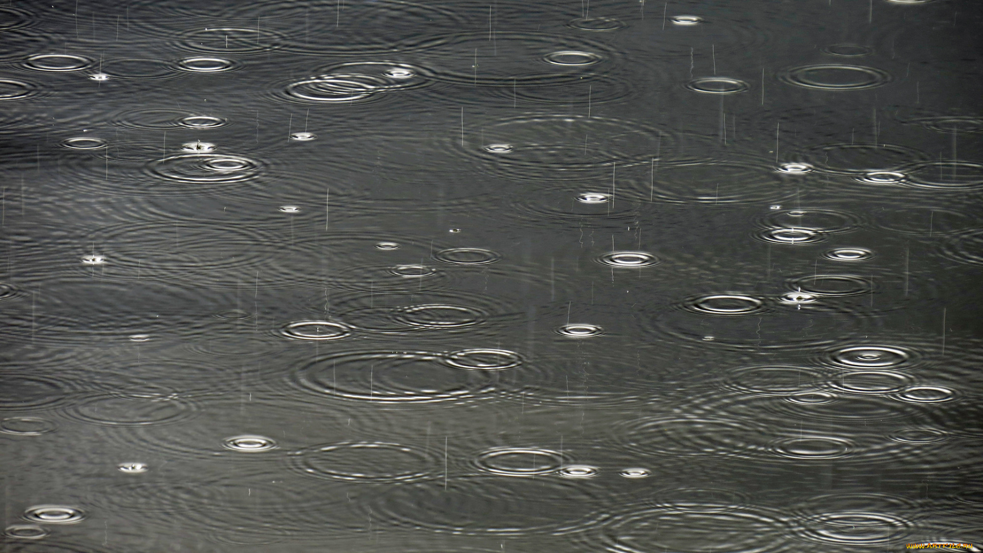 разное, капли, , брызги, , всплески, лужа