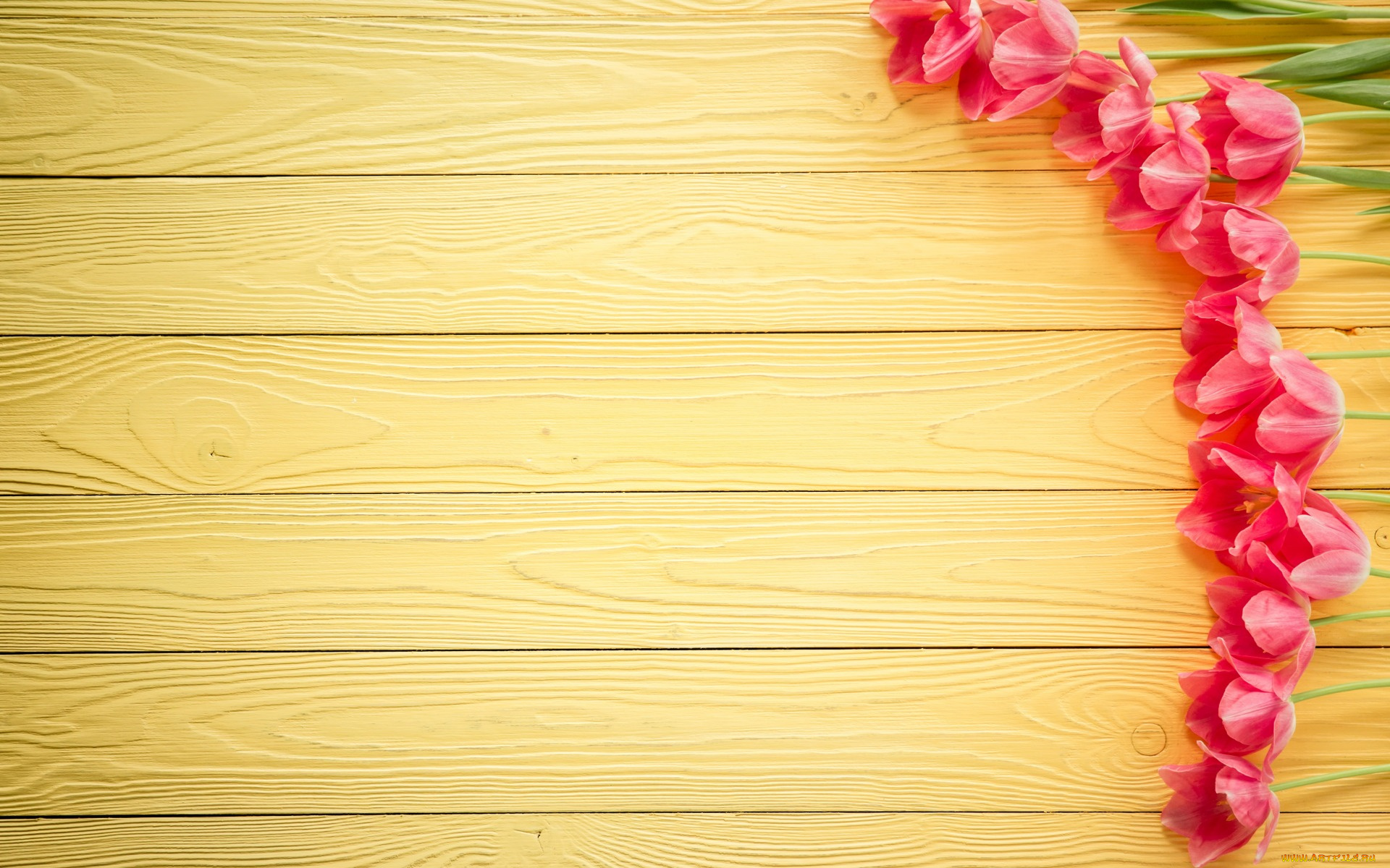 праздничные, международный, женский, день, -, 8, марта, wood, love, heart, тюльпаны, pink, romantic, розовые, цветы, tulips, 8, марта