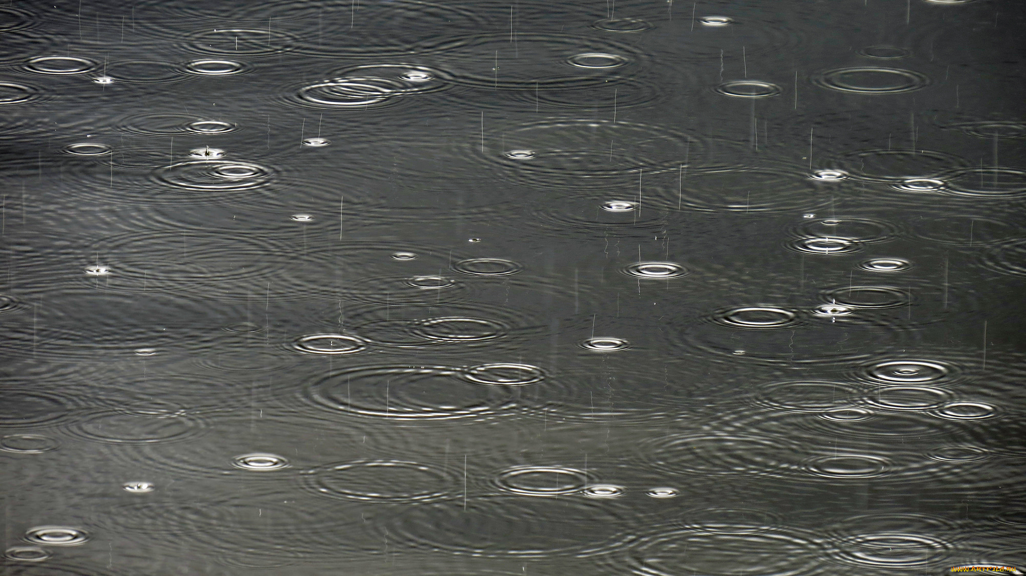 разное, капли, , брызги, , всплески, лужа