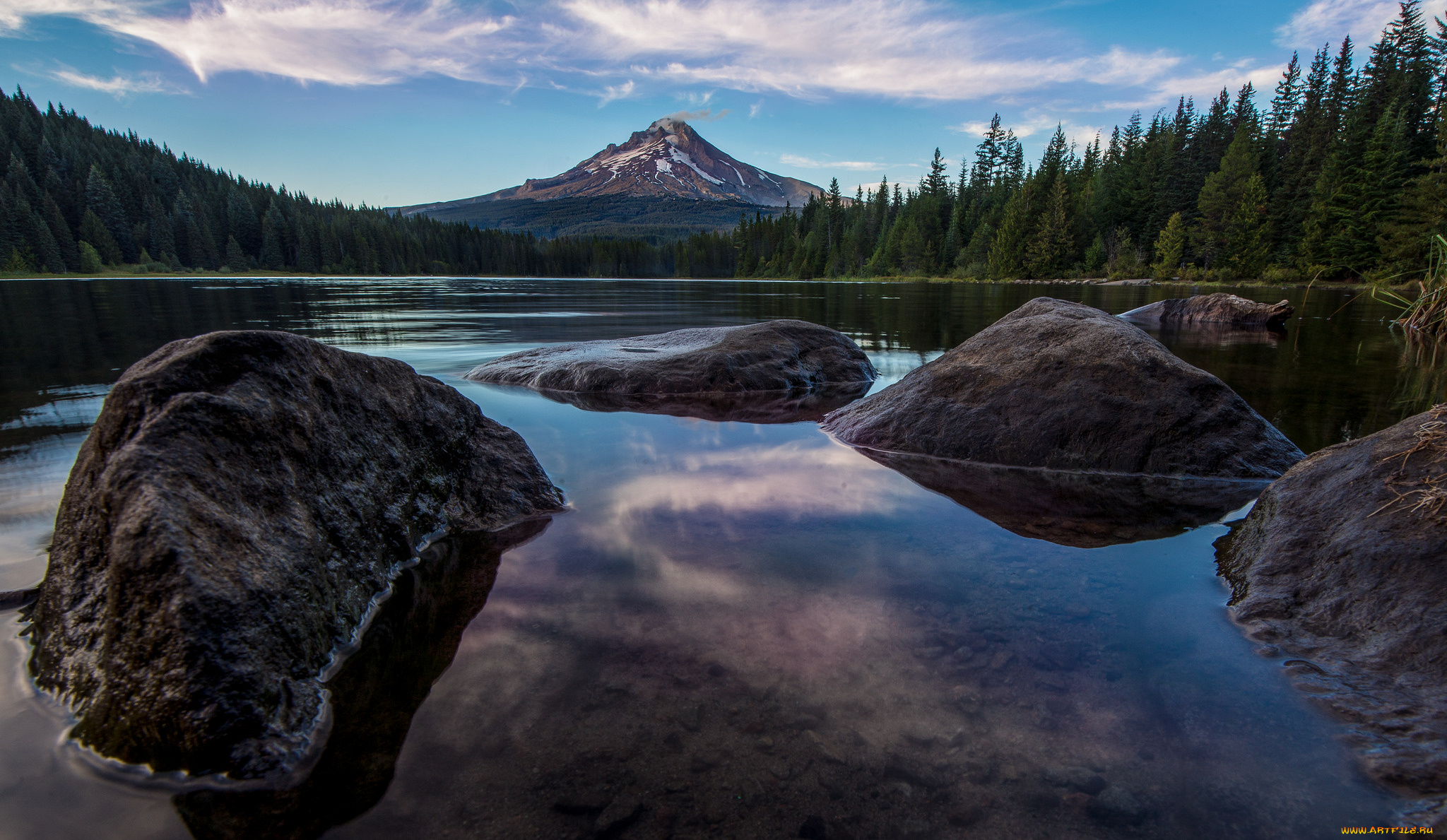природа, реки, озера, озеро, зимний, пейзаж, снег, дерево, winter, landscape, snow, tree, lake