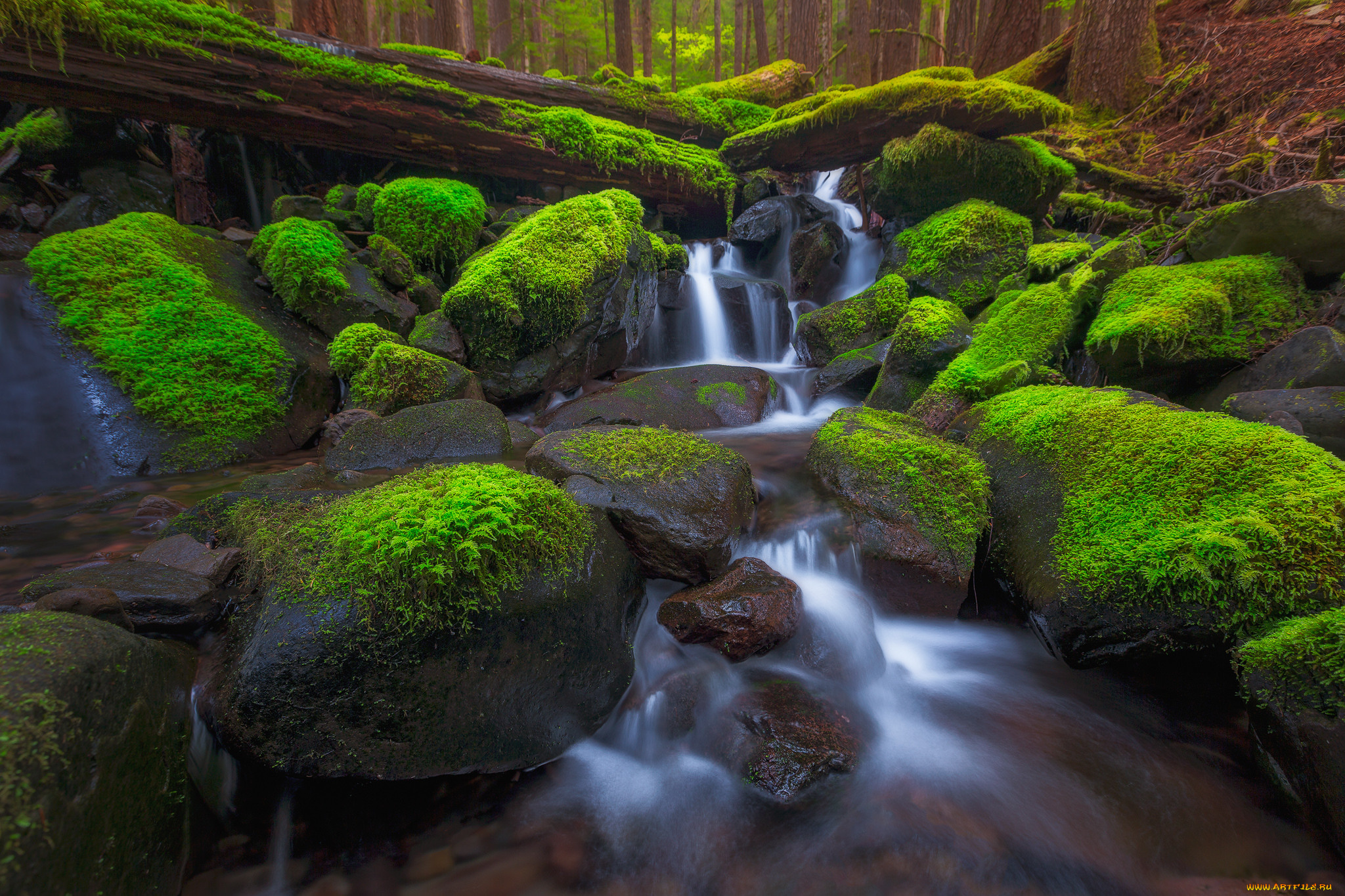 природа, водопады, leaves, waterfall, осень, листья, вода, поток, водопад, autumn, water, stream