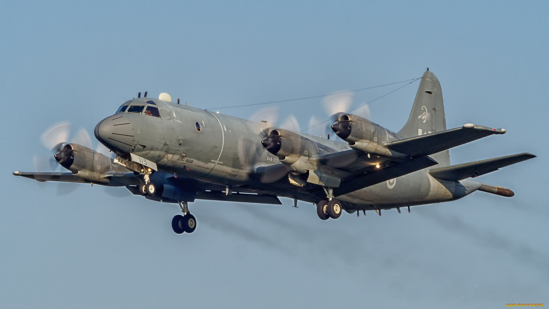 авиация, боевые, самолёты, морской, разведчик