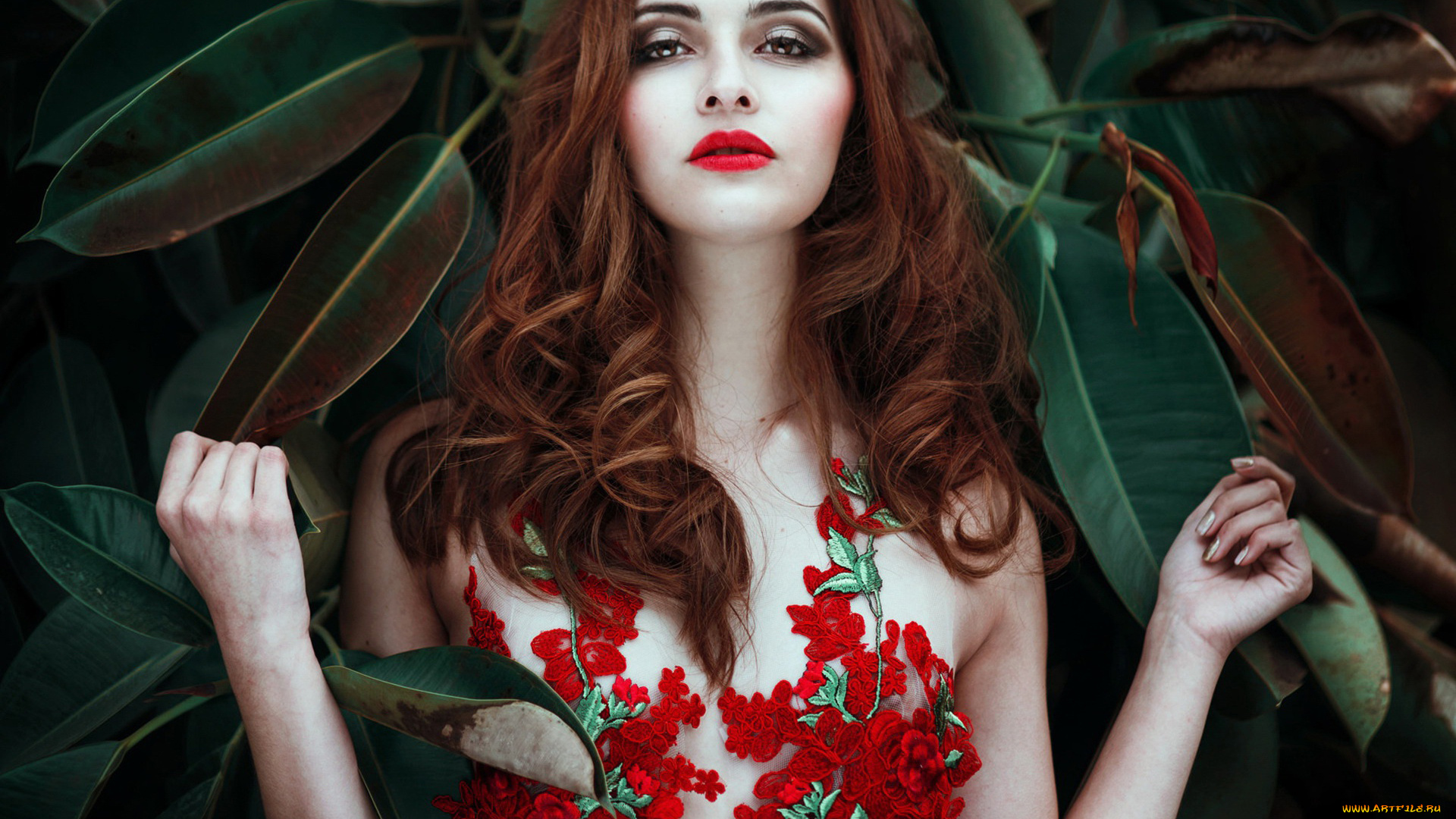 девушка, девушки, -unsort, , рыжеволосые, и, другие, модель