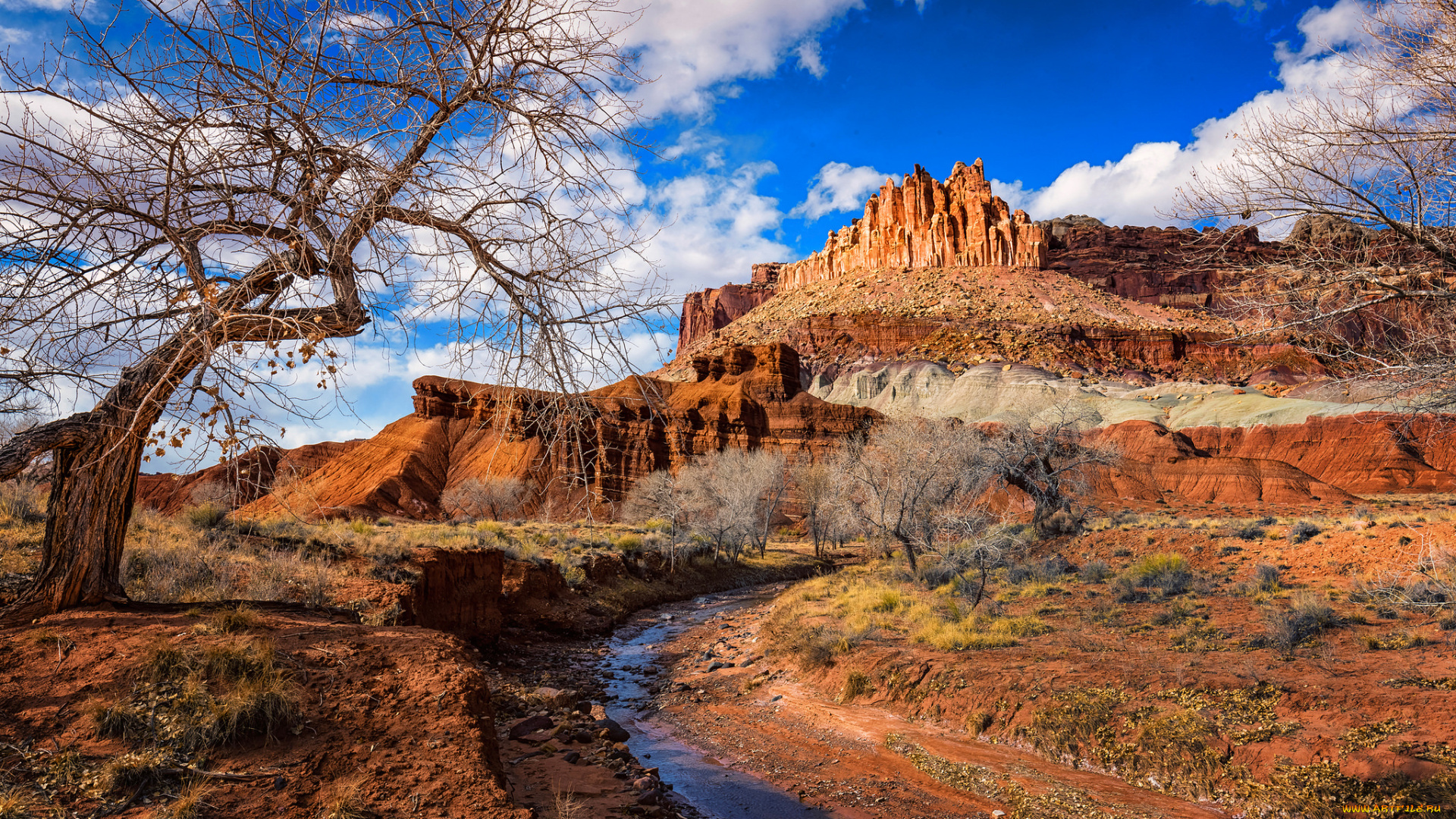 природа, горы, простор