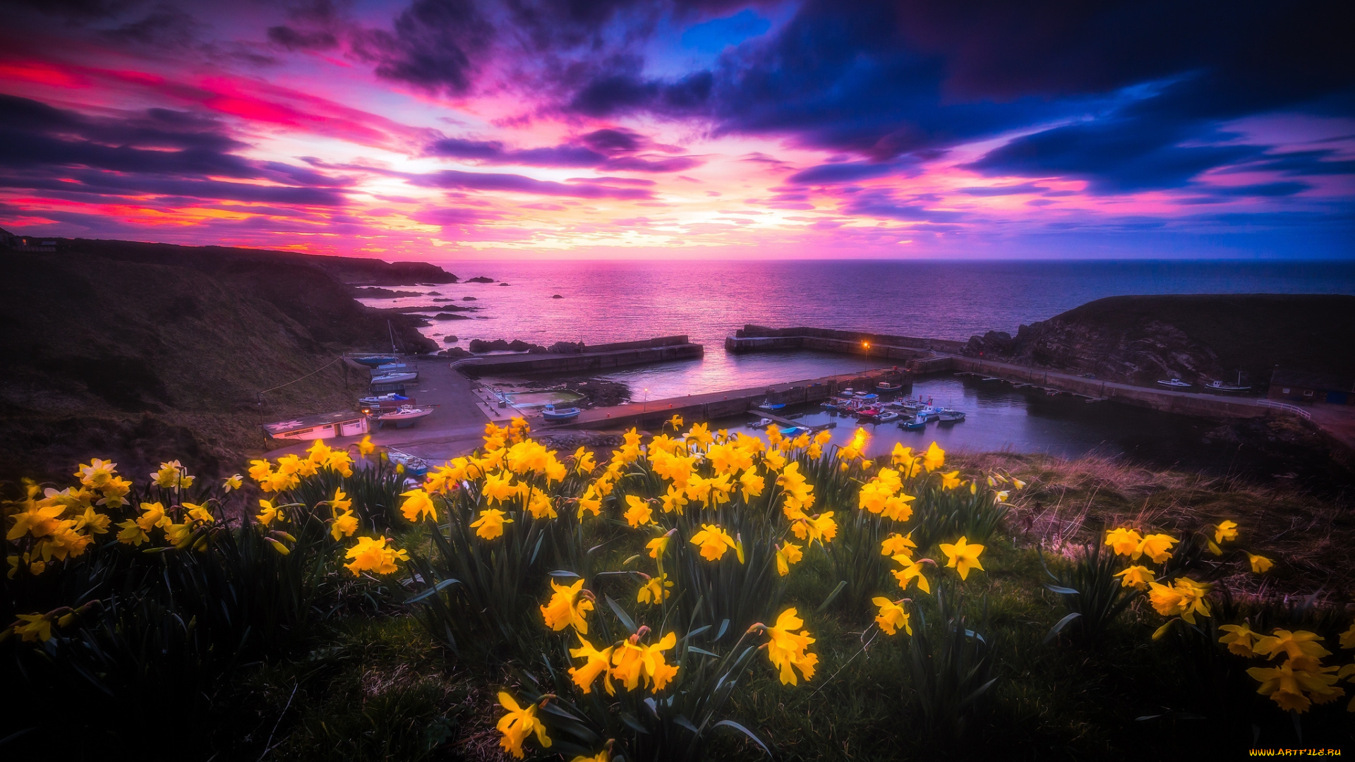 природа, луга, простор