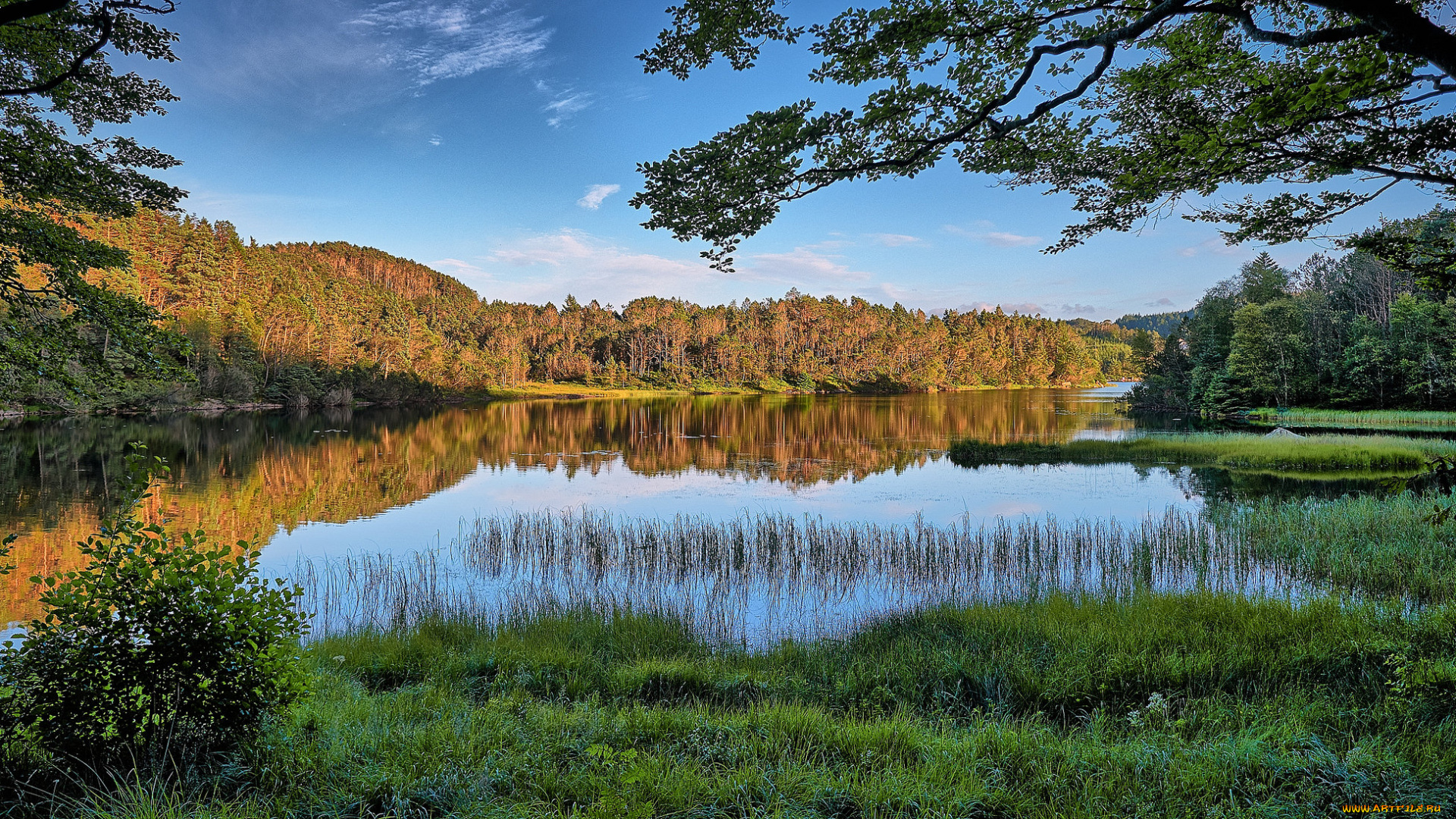 природа, реки, озера, простор