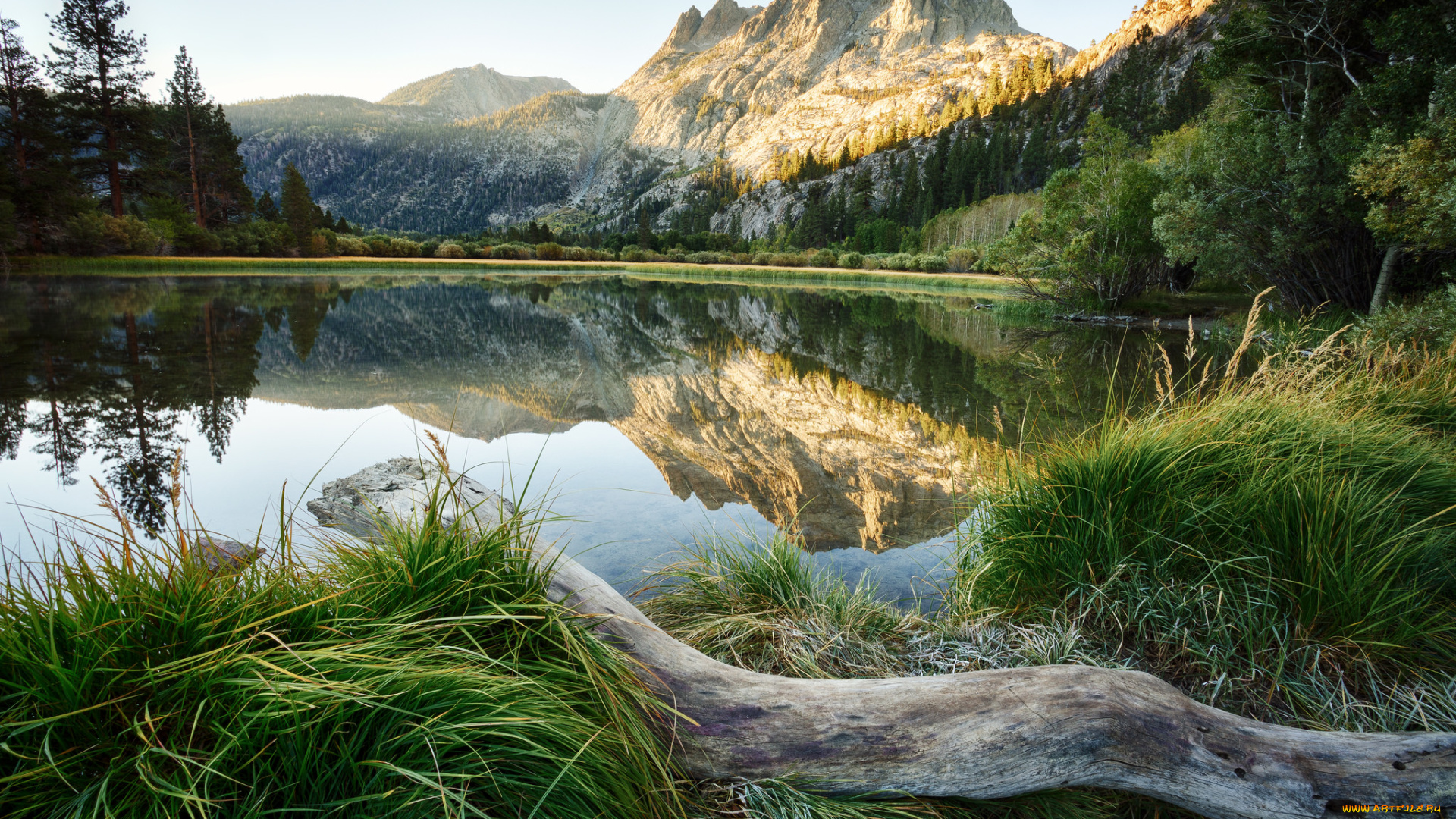 природа, реки, озера, простор