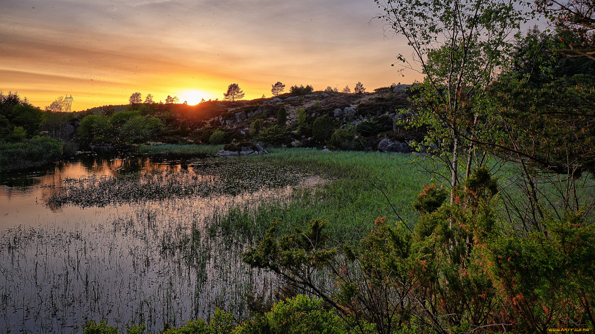 природа, реки, озера, простор