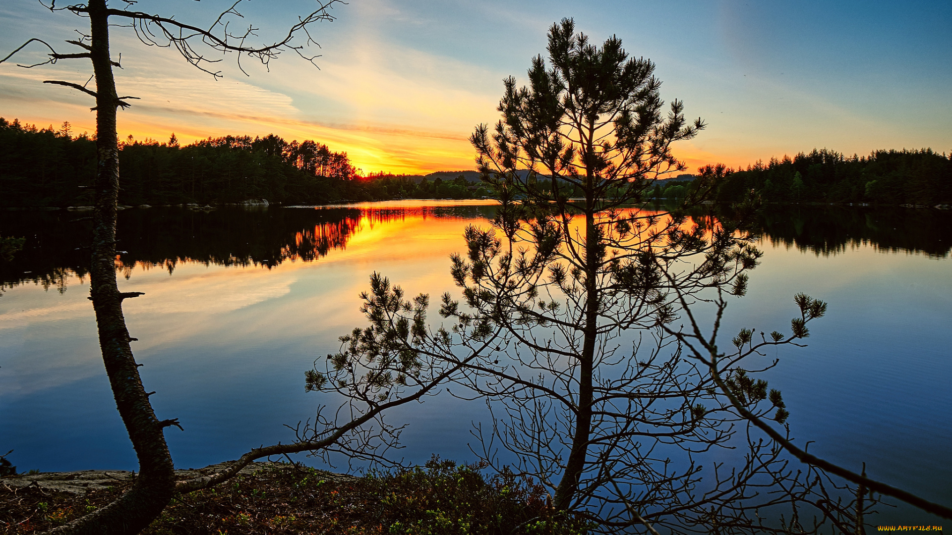 природа, реки, озера, простор