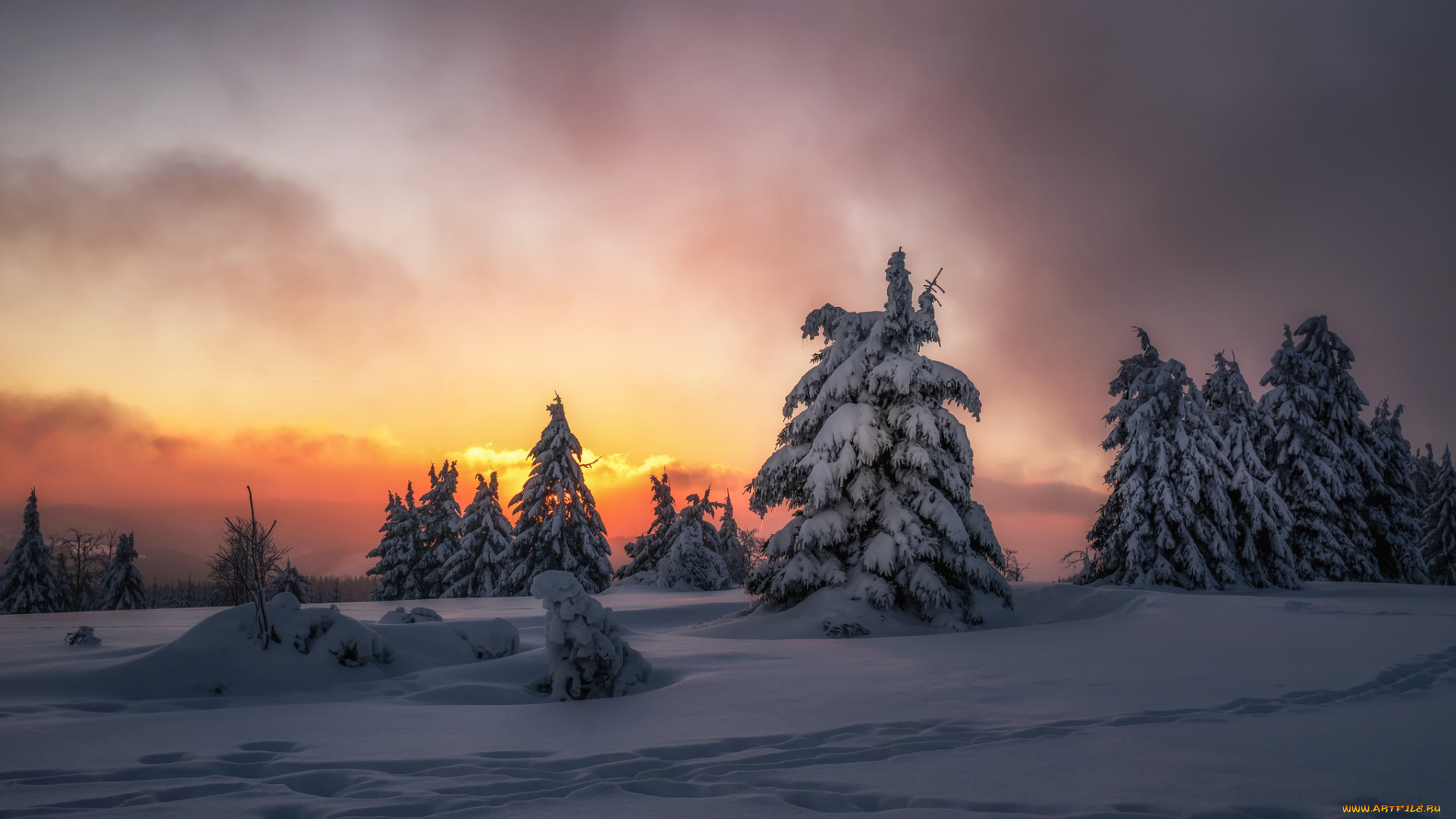 природа, зима, простор