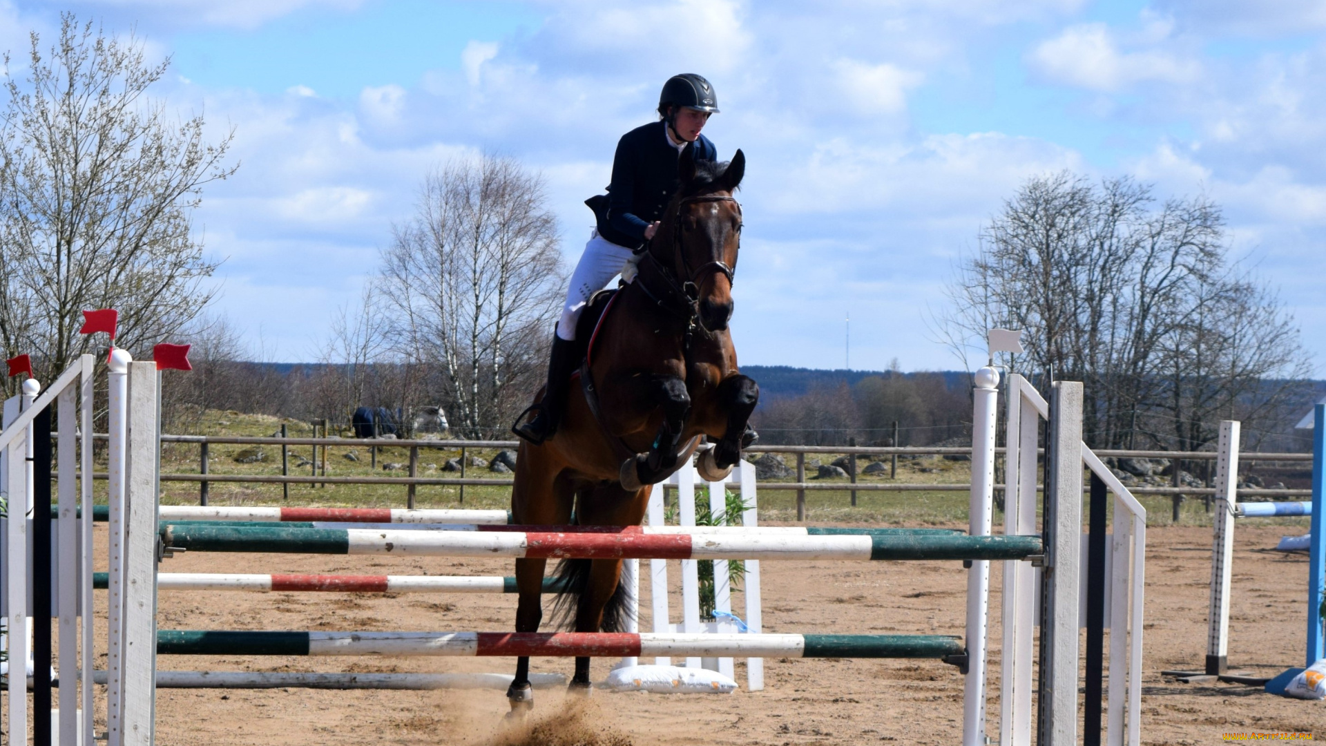 спорт, конный, спорт, прыжок, лошадь