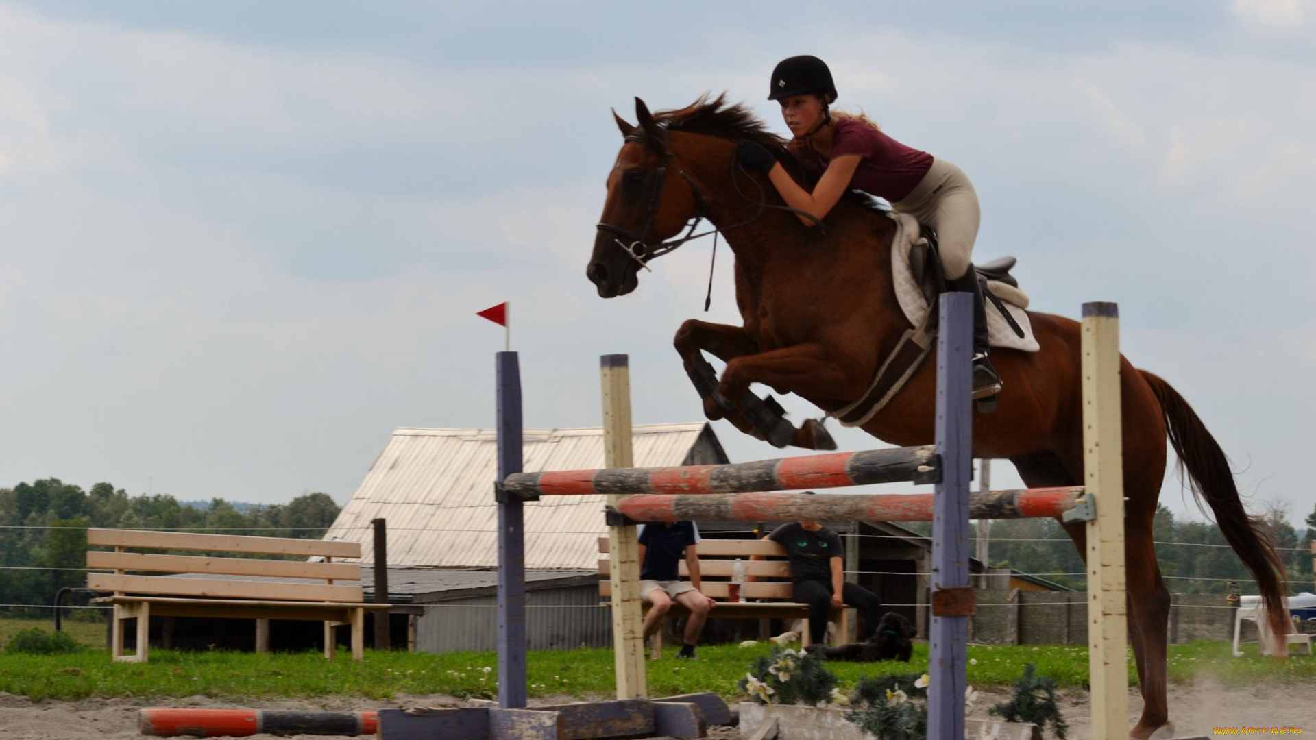 спорт, конный, спорт, прыжок, лошадь