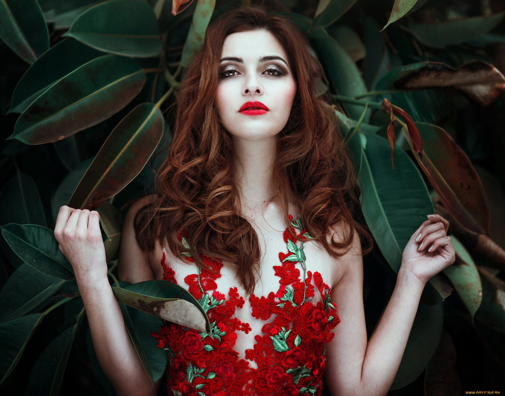 девушка, девушки, -unsort, , рыжеволосые, и, другие, модель