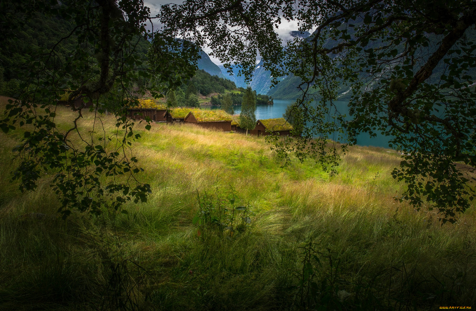 природа, пейзажи, простор