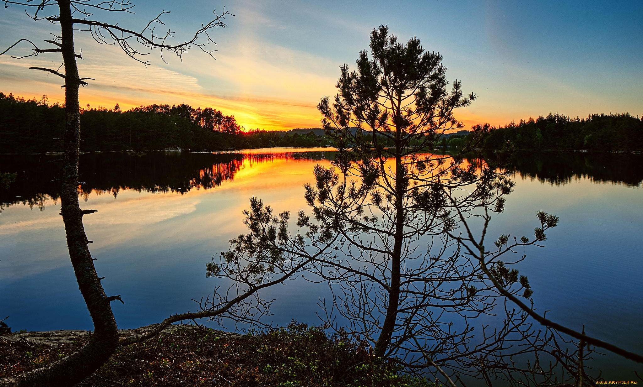 природа, реки, озера, простор