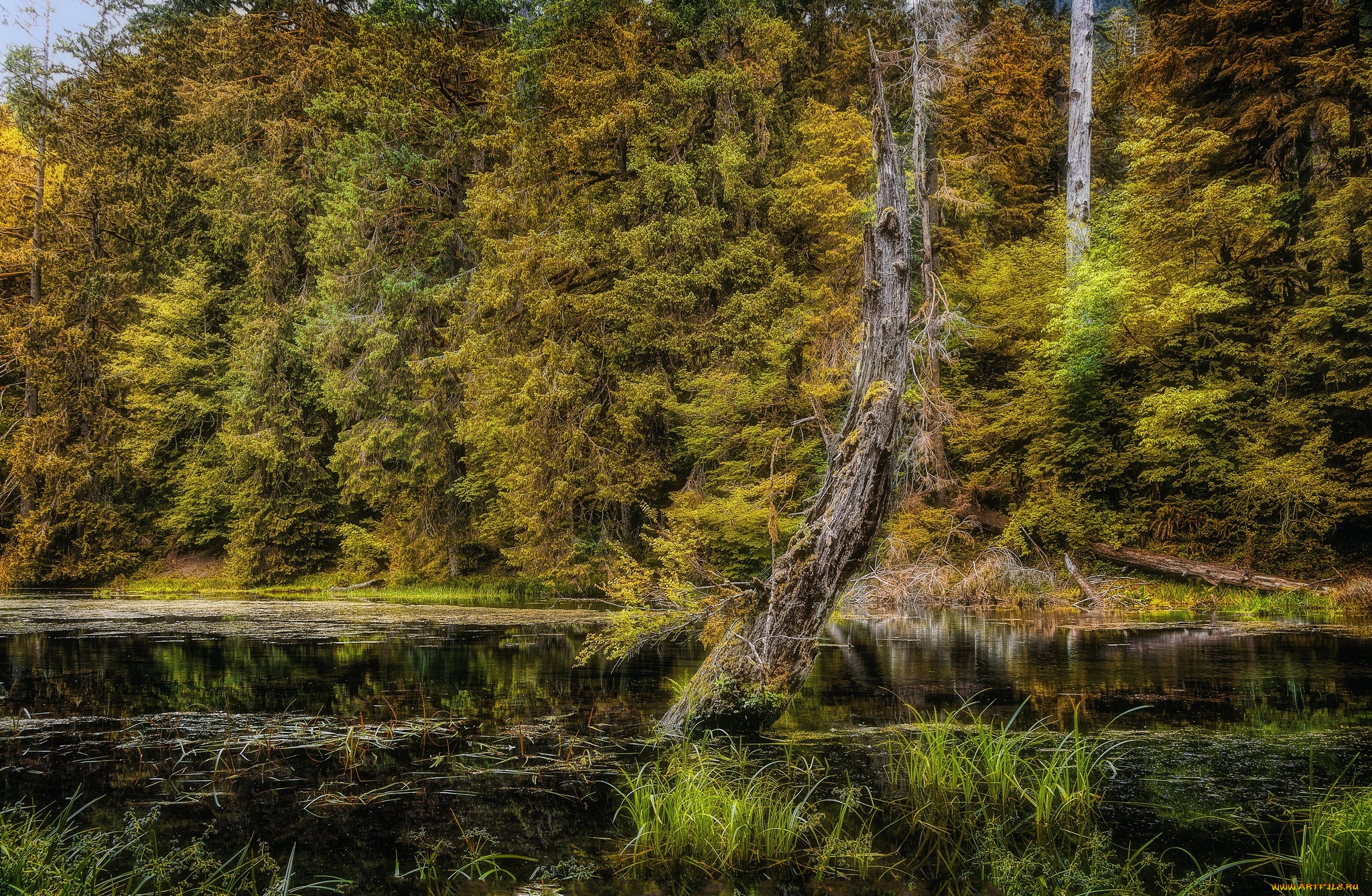 природа, реки, озера, простор