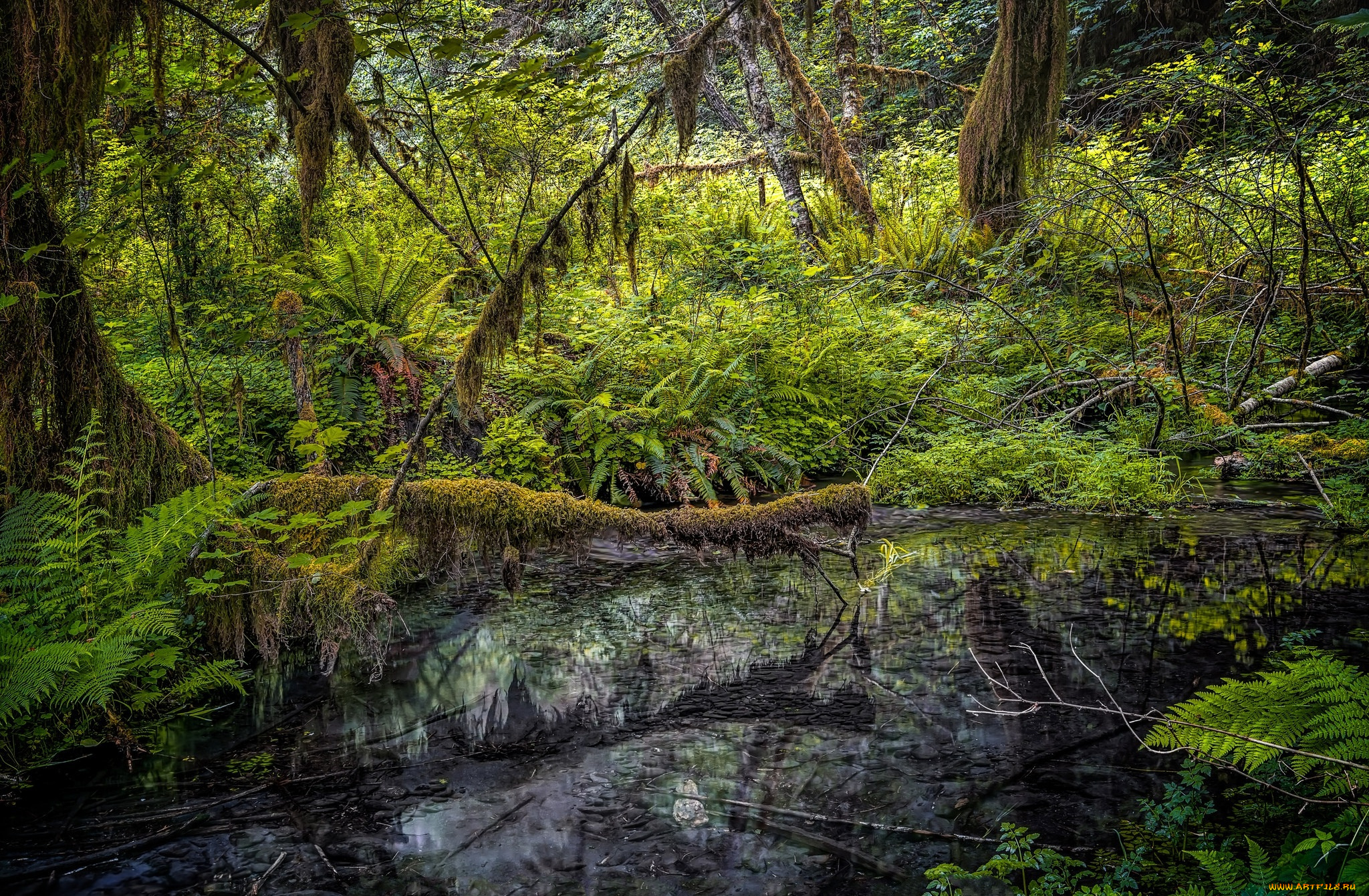 природа, реки, озера, простор