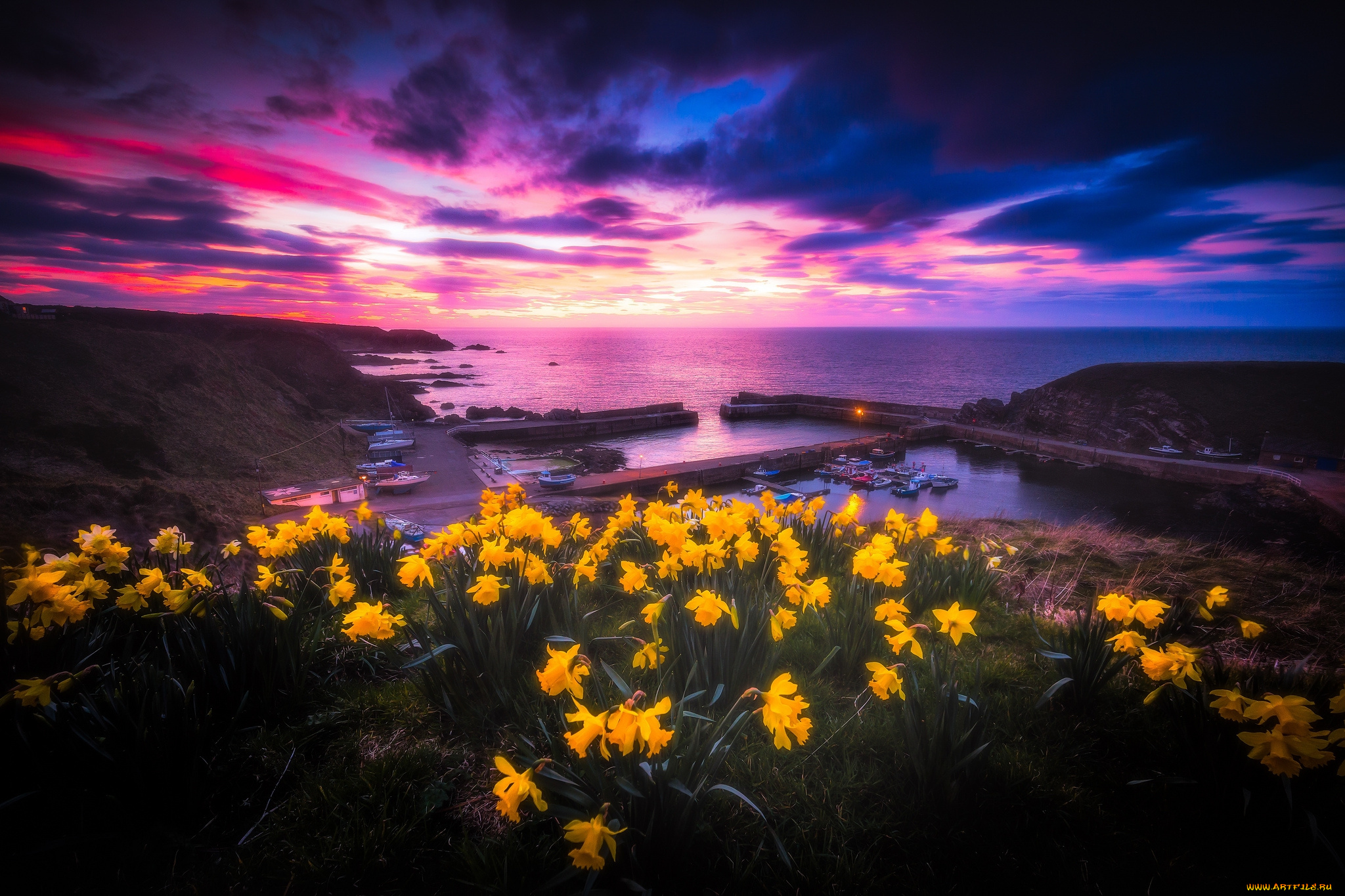 природа, луга, простор