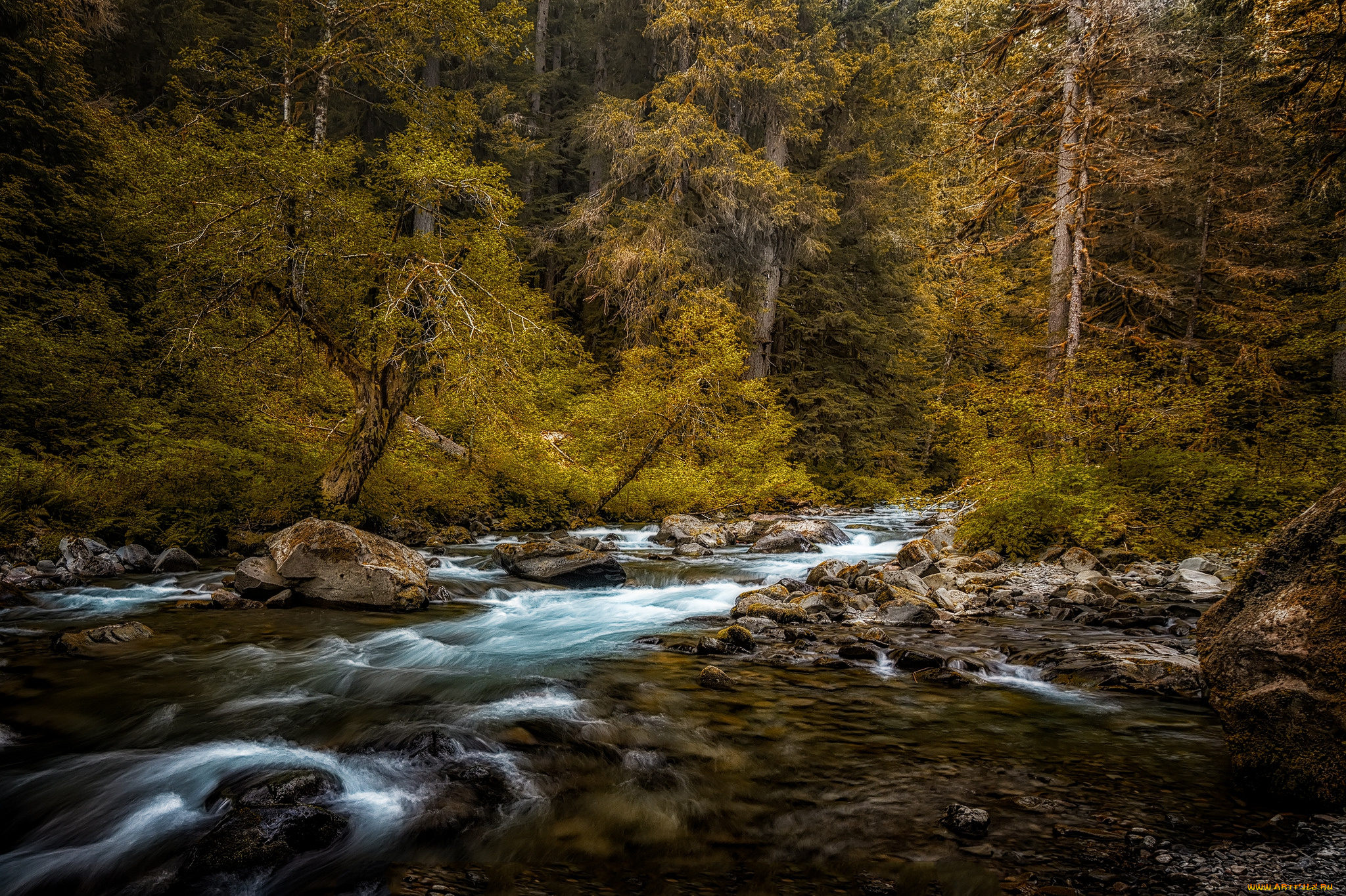 природа, реки, озера, простор