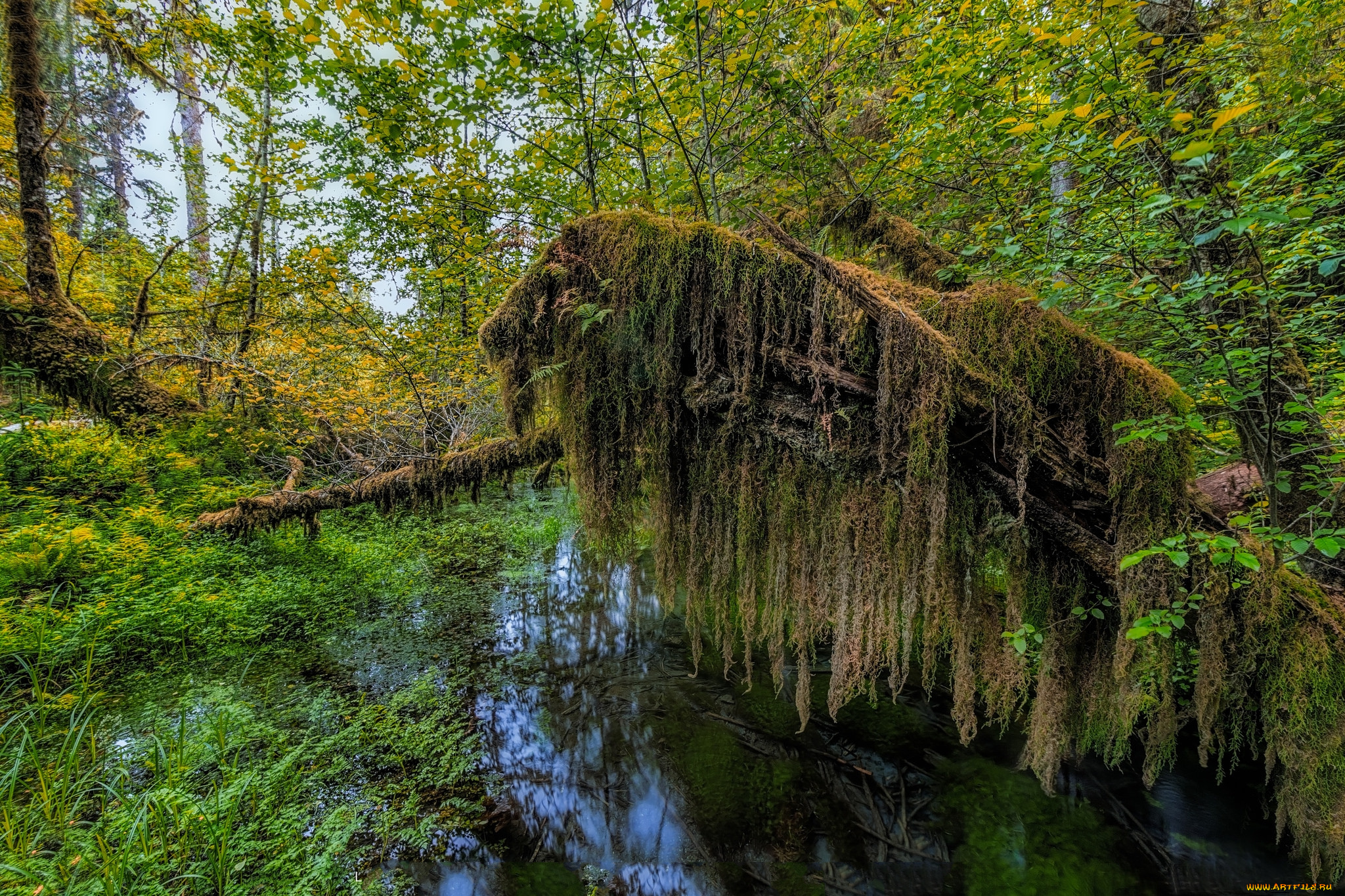 природа, реки, озера, простор