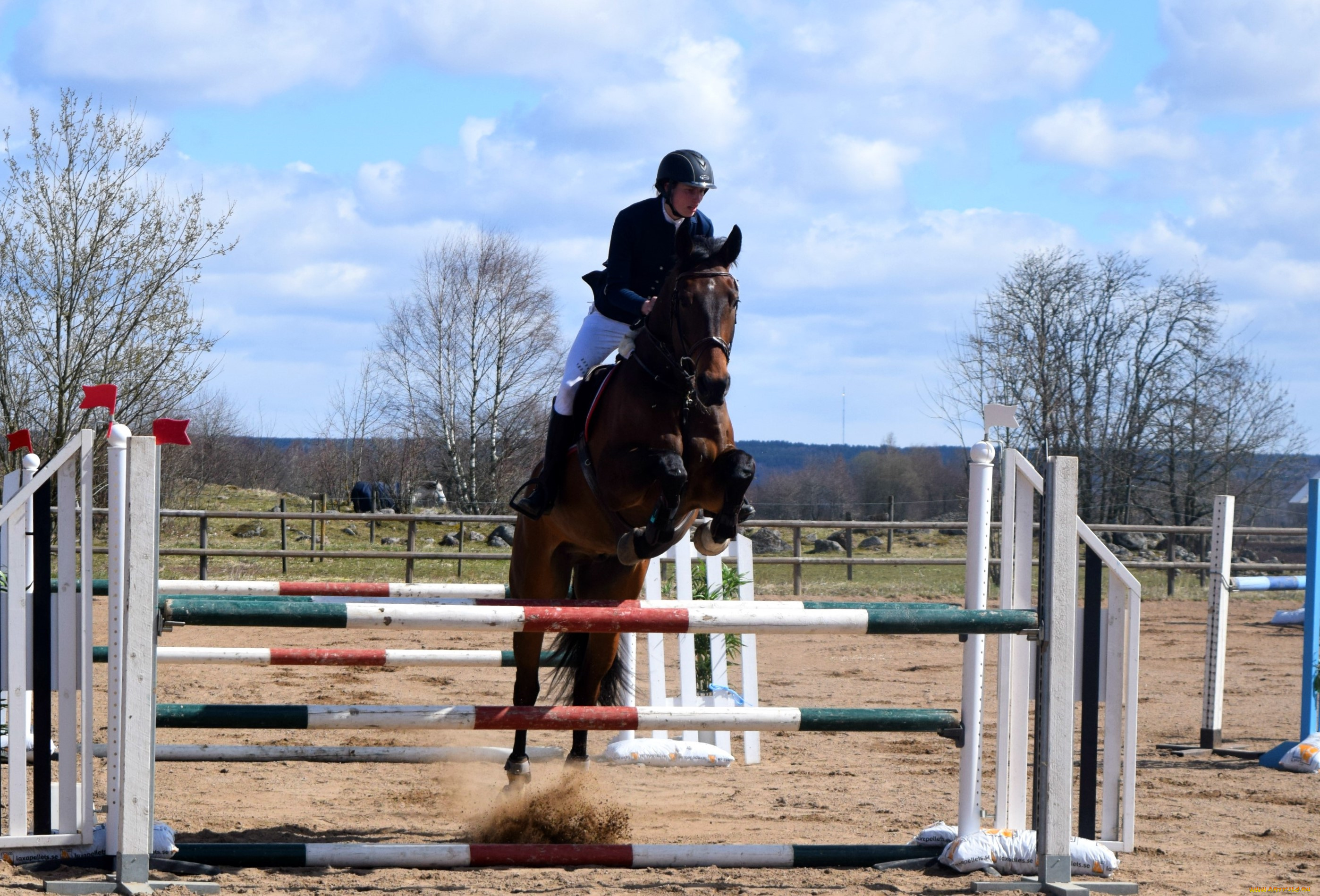 спорт, конный, спорт, прыжок, лошадь