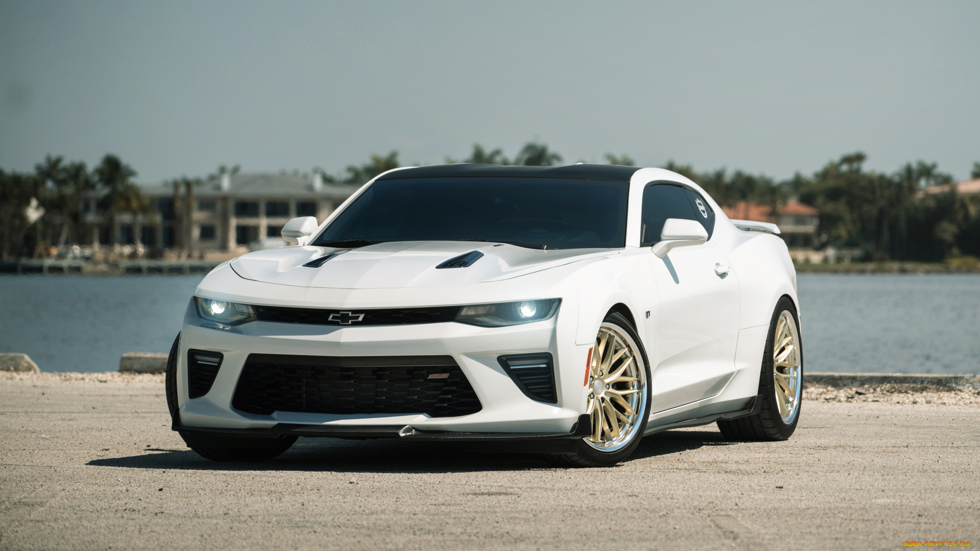 chevrolet, camaro, ss, автомобили, camaro, chevrolet, ss, super, sport, легендарный, американский, мускулистый, парень