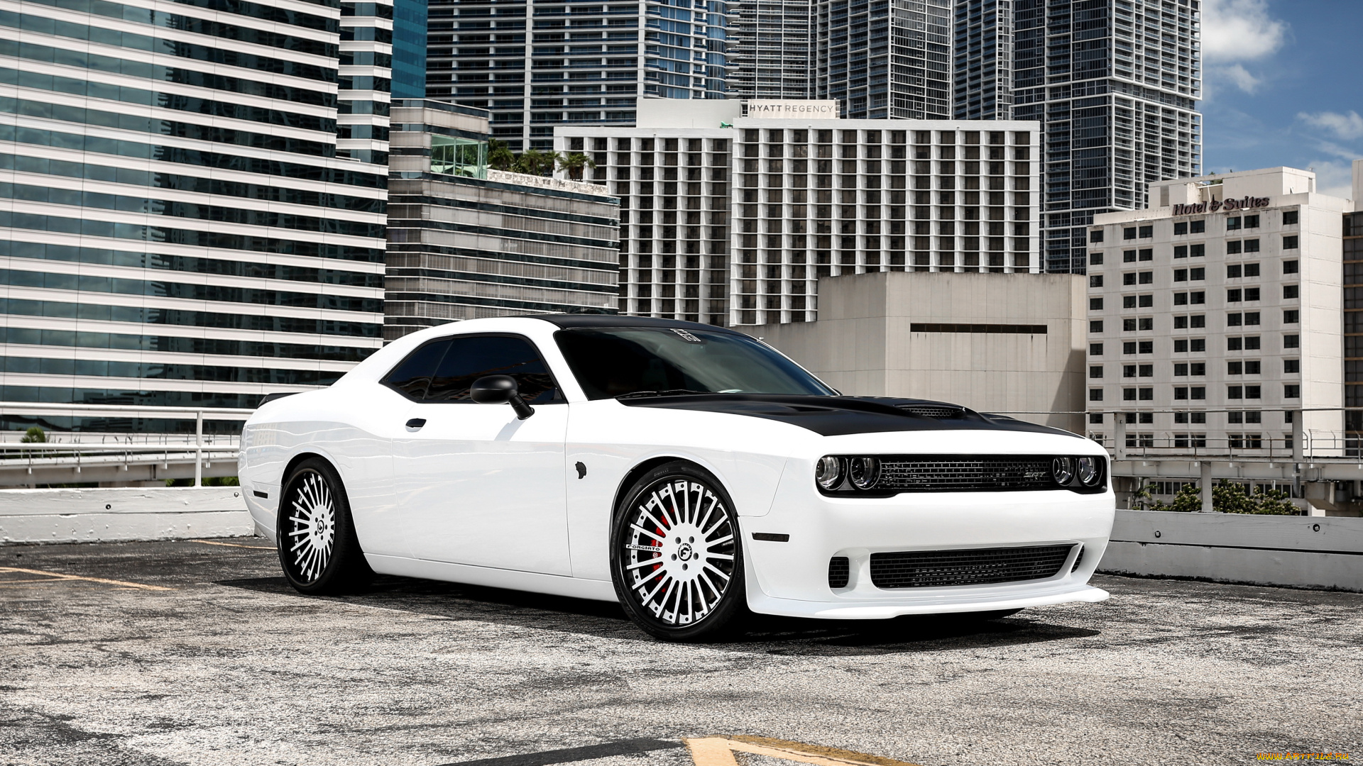 dodge, challenger, автомобили, dodge, challenger, этот, паренёк, любит, утроить, классное, жогово