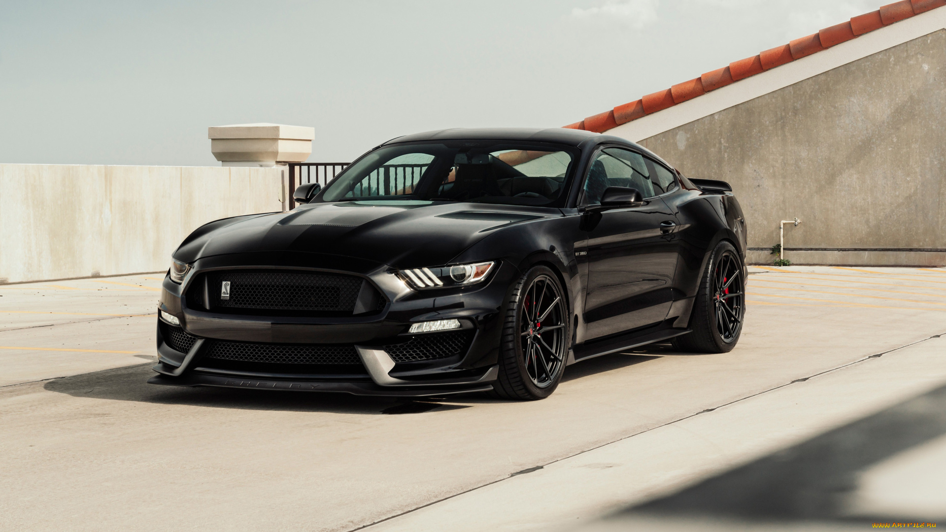 ford, mustang, gt, автомобили, mustang, ford, gt, shelby, gt500, легендарный, американский, исполин, породистый, конь