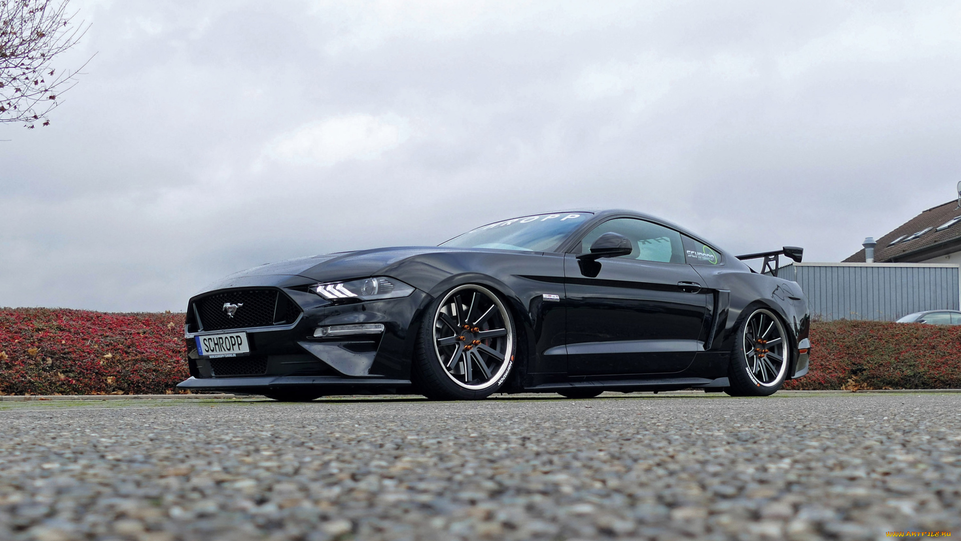 ford, mustang, gt, автомобили, mustang, ford, gt, shelby, gt500, легендарный, американский, исполин, породистый, конь