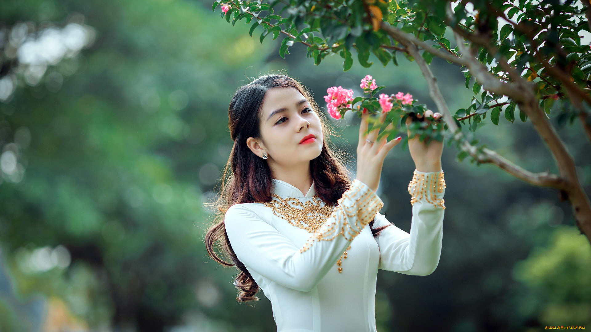 девушки, -, азиатки, азиатка, платье, пайетки, цветущее, дерево