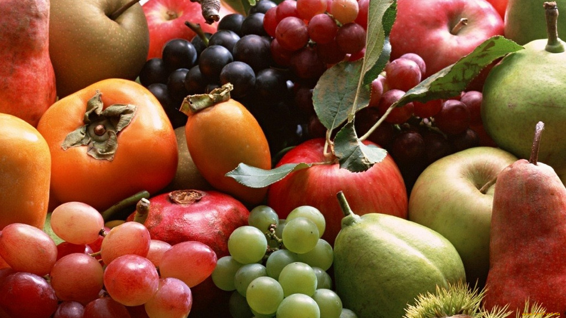 еда, фрукты, , ягоды, хурма, гранат, виноград, груши, яблоки