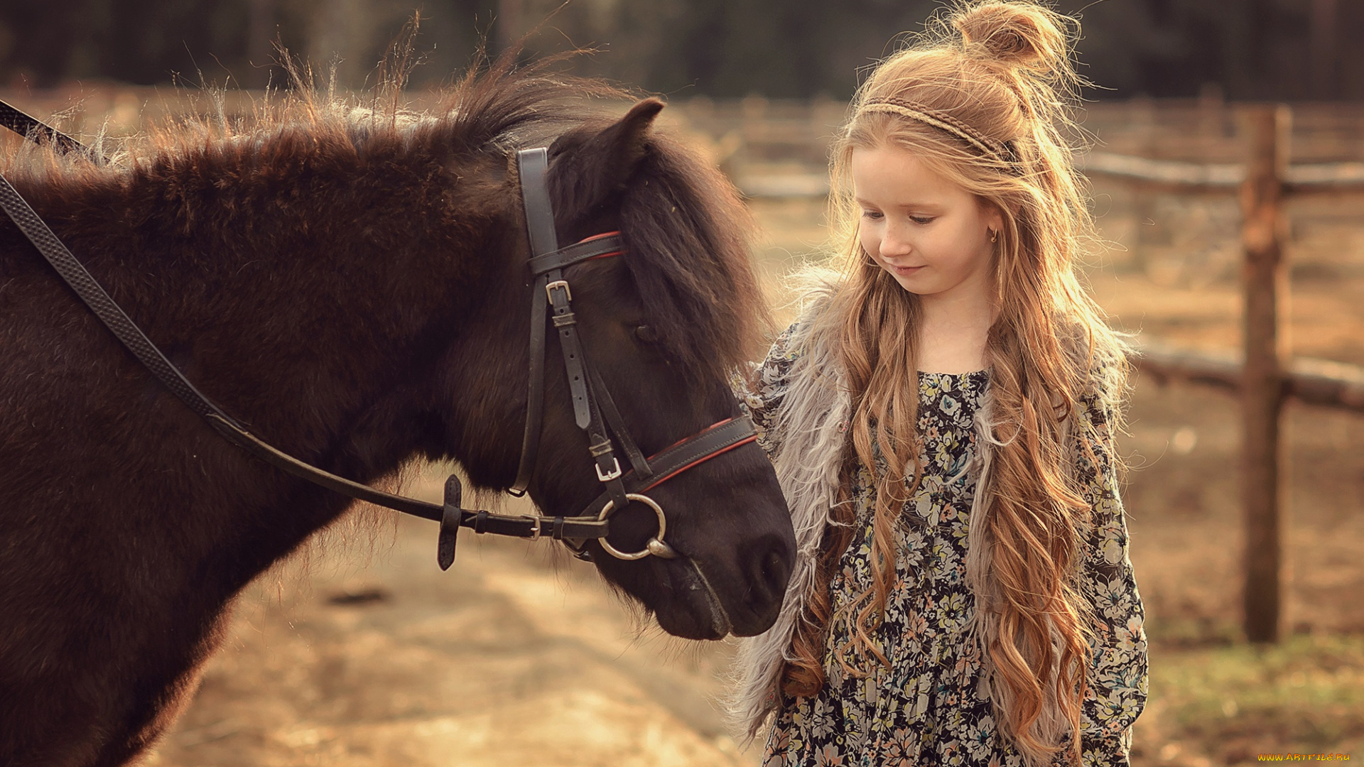 разное, дети, девочка, лошадь