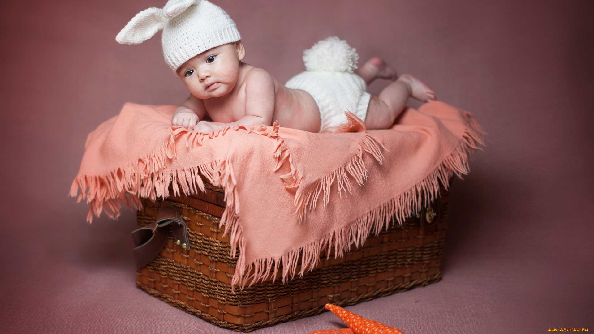 разное, дети, ребенок, костюм, плед, корзина, морковки