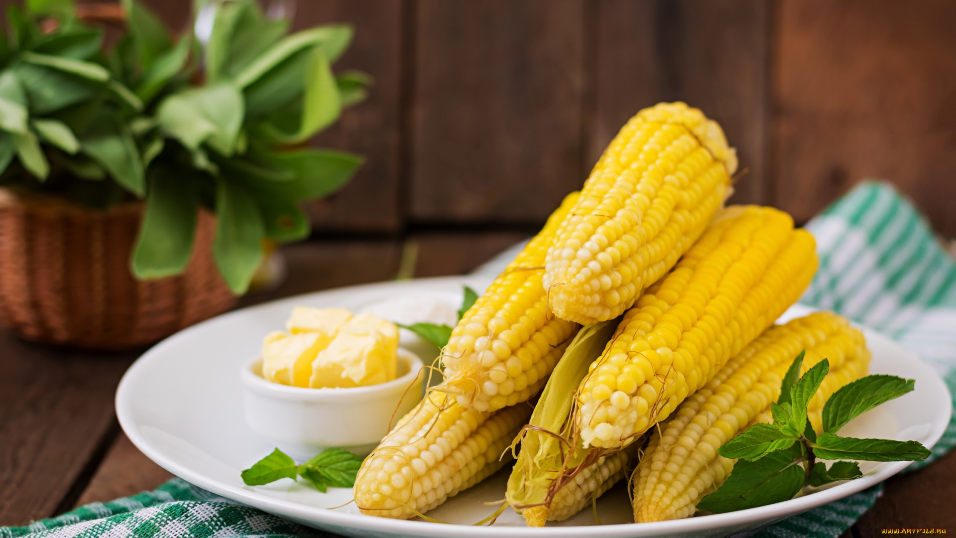 еда, кукуруза, початки