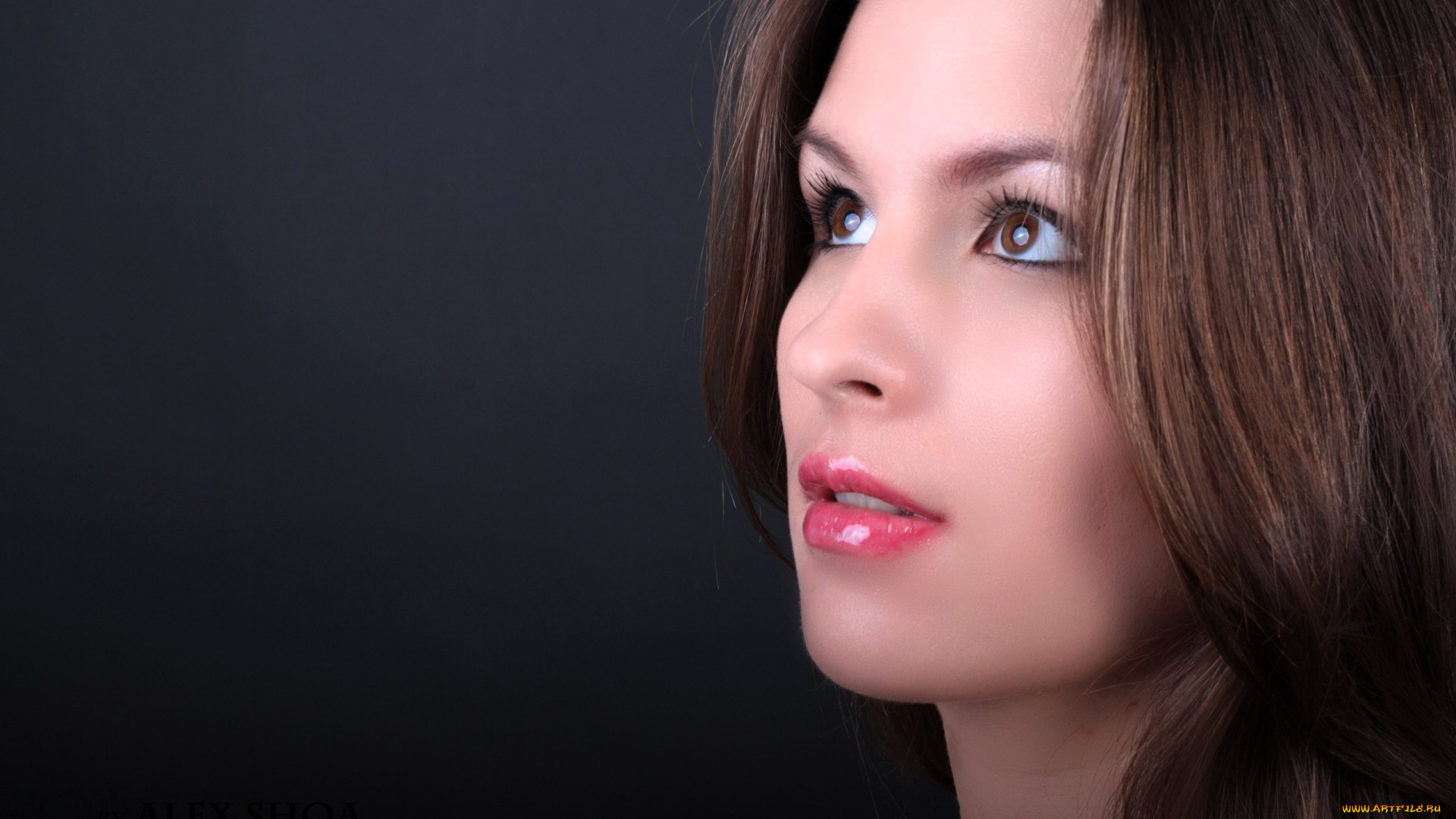 девушки, -, лица, , портреты, шатенка, лицо