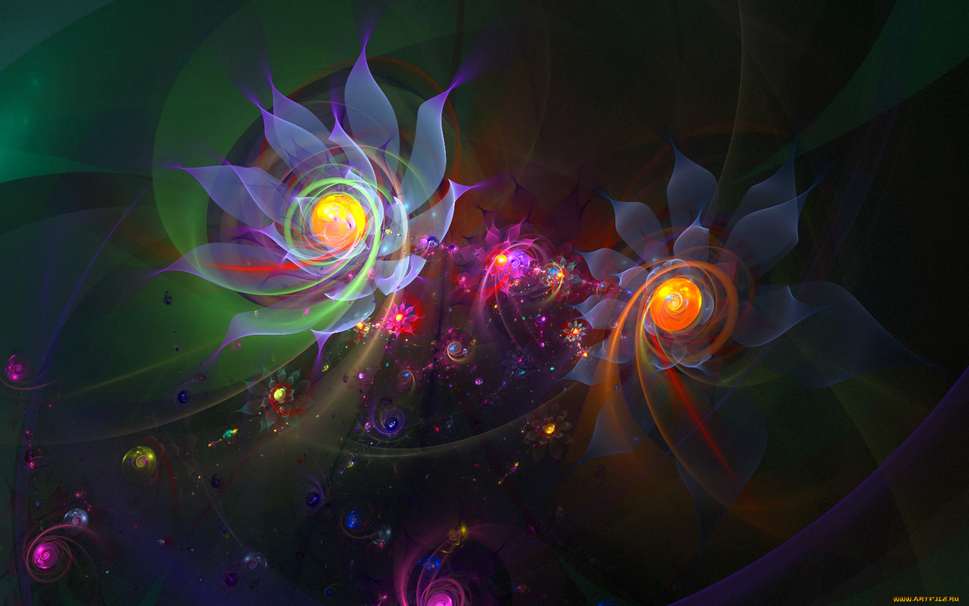 3д, графика, цветы, , flowers, цветы, цвета, спирали