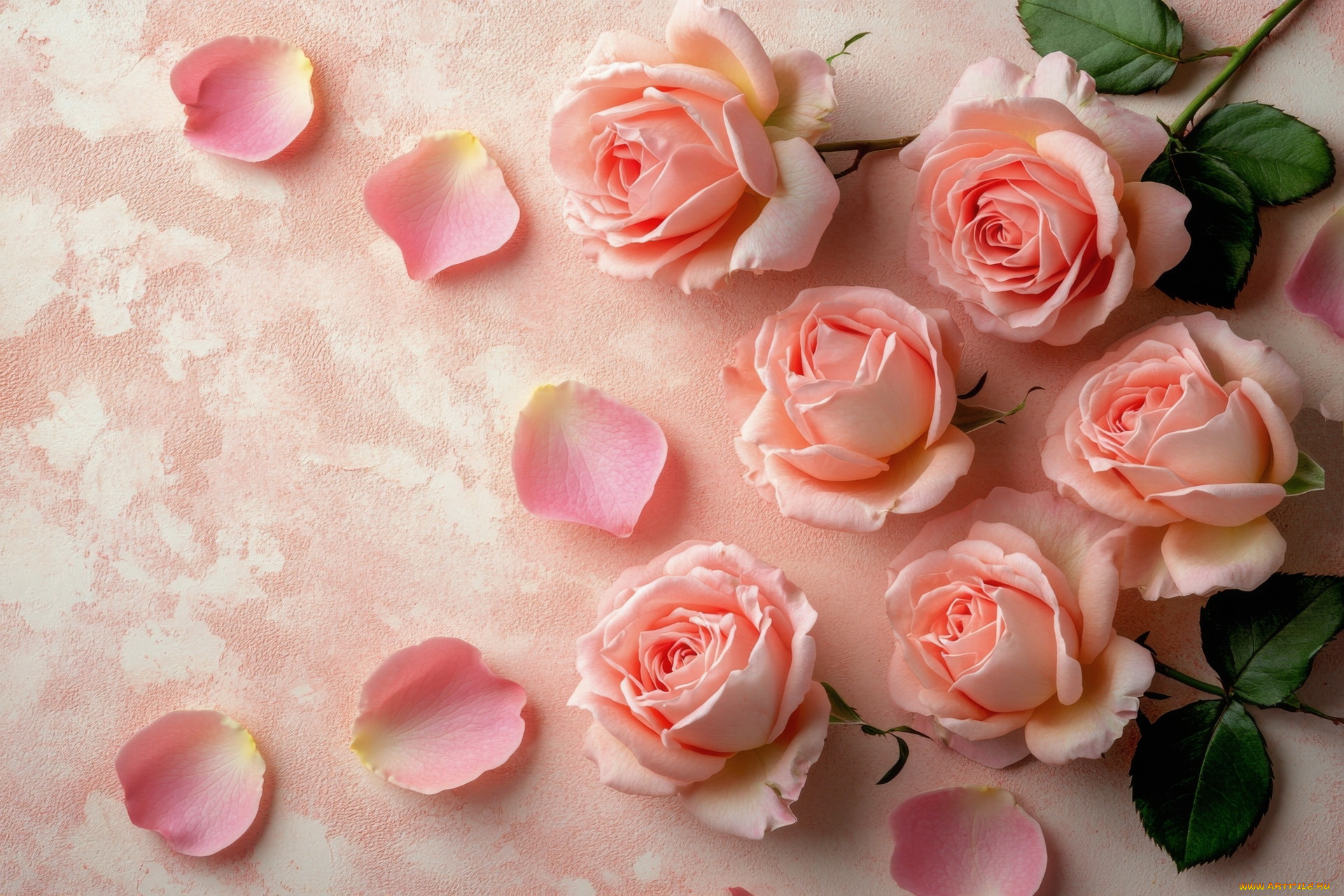 3д, графика, цветы, , flowers, розы