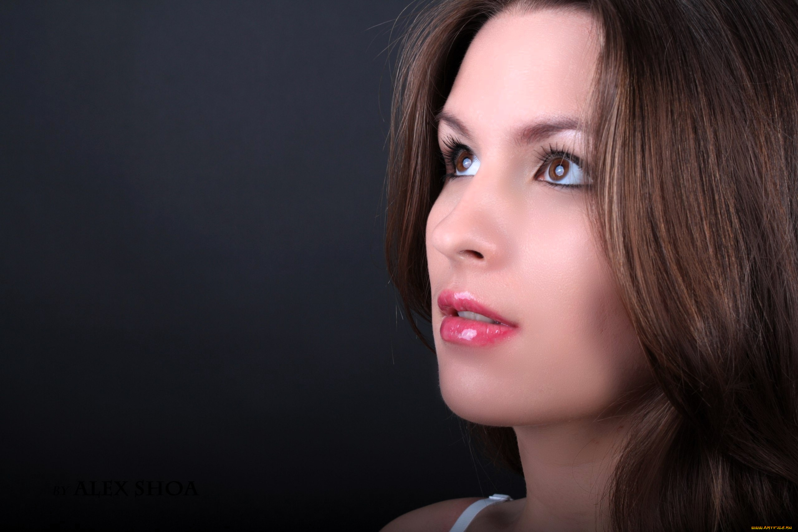 девушки, -, лица, , портреты, шатенка, лицо