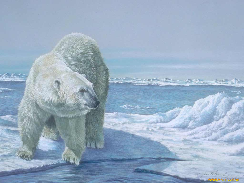 рисованные, животные