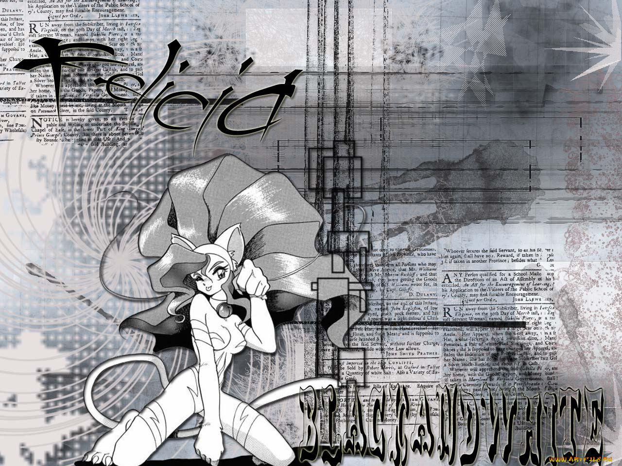 dark, stalkers, аниме, night, warriors