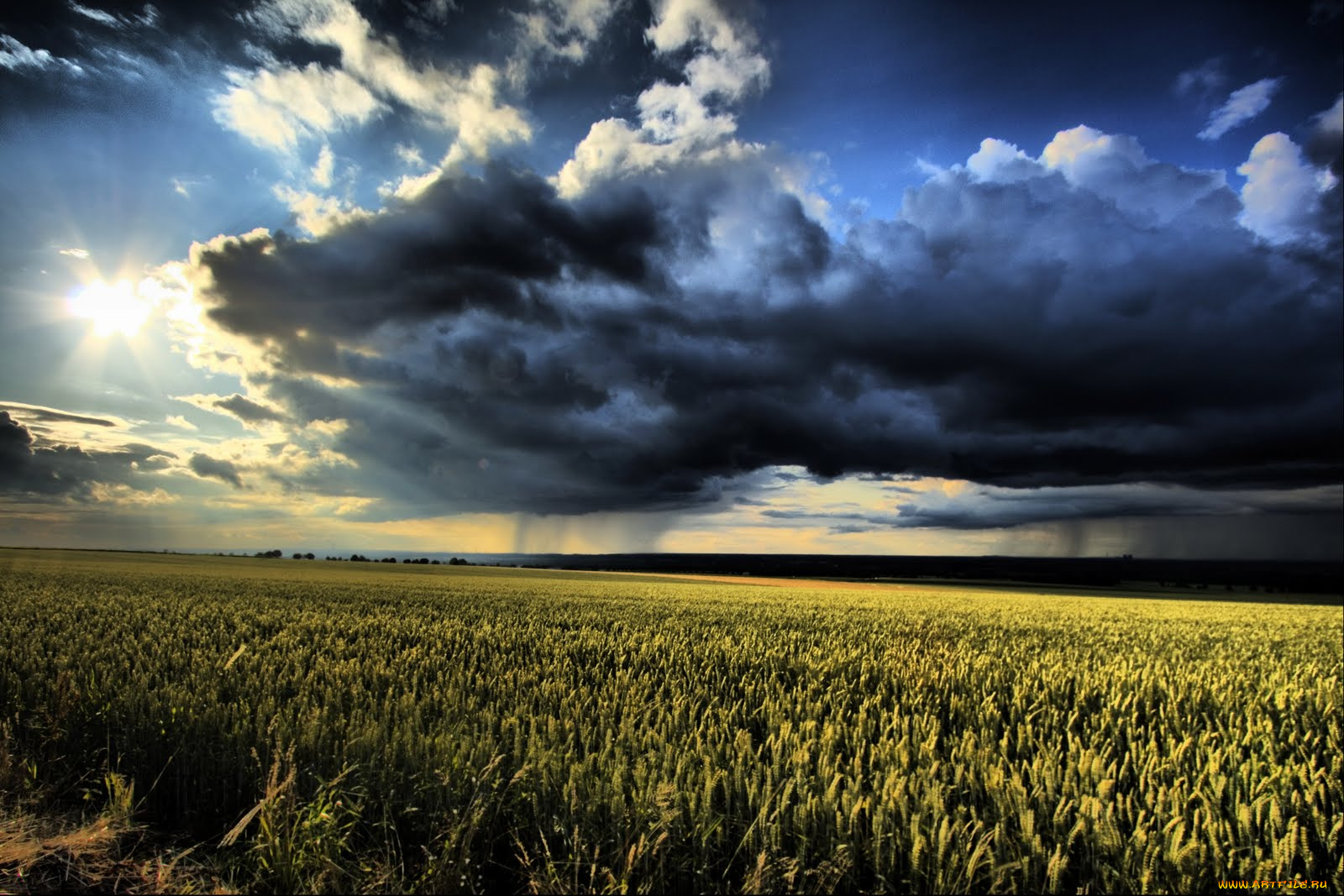 природа, поля, облака