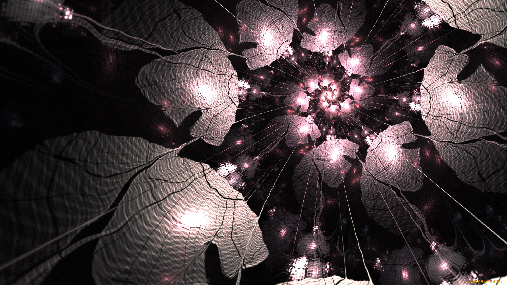 3д, графика, fractal, фракталы, фрактал