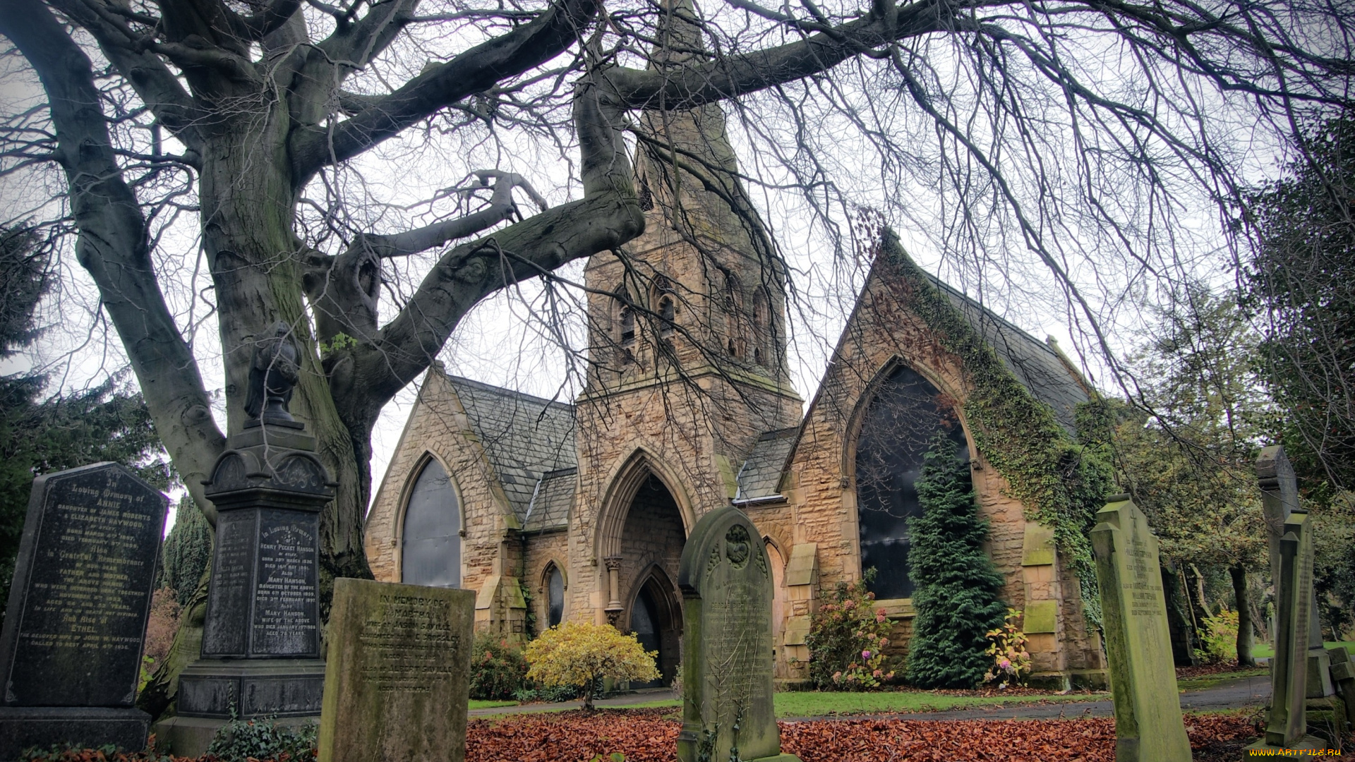 Часовня, отли, йоркшир, англия, города, католические, соборы, костелы, аббатства, дерево, кладбище, надгробия