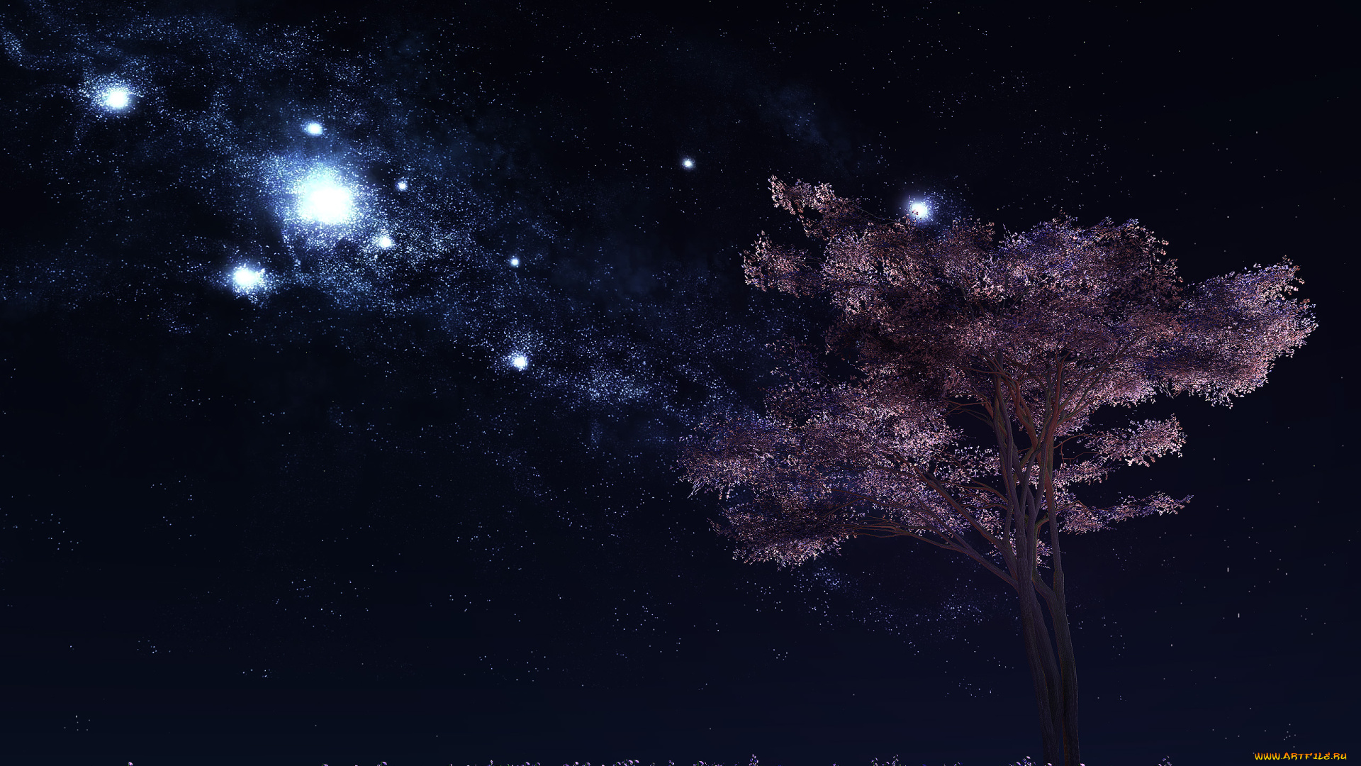 3д, графика, atmosphere, mood, атмосфера, настроения, небо, дерево, цветы, звездное