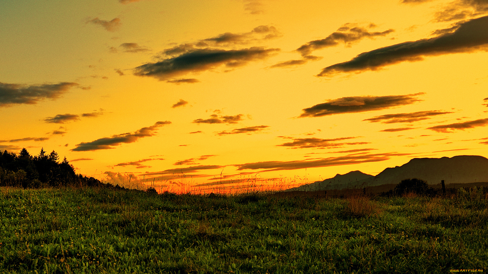 as, the, sun, sets, природа, луга, луг, трава, холмы, закат